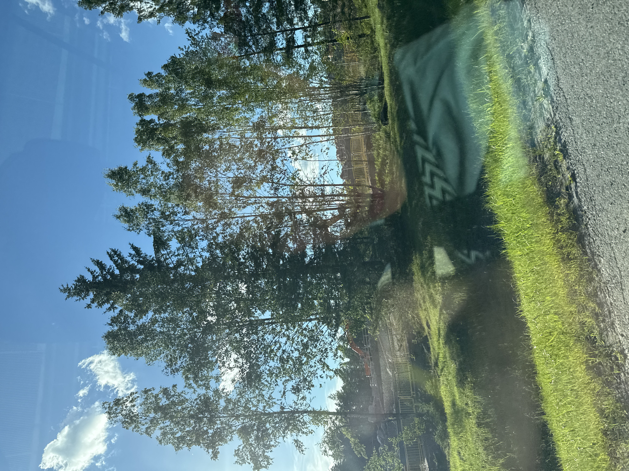 The image depicts a sunlit outdoor scene, likely captured from a moving vehicle due to reflections on the foreground. A vibrant green grassy slope dominates the lower portion of the frame, meeting a grey asphalt road on the right edge. Above the grass, a row of deciduous trees, appearing to be birches due to their slender white trunks, are interspersed with taller evergreen trees, some with dark green needles. In the mid-ground, a yellow fence runs horizontally across the scene, separating the grassy area from a construction site. Behind the fence, an orange excavator is visible, engaged in earthmoving activities. The background features more trees and structures, suggesting a semi-urban or developing area. The sky is a bright blue, with a few scattered white clouds. The lighting indicates it is daytime, with the sun casting shadows and highlighting the vegetation.