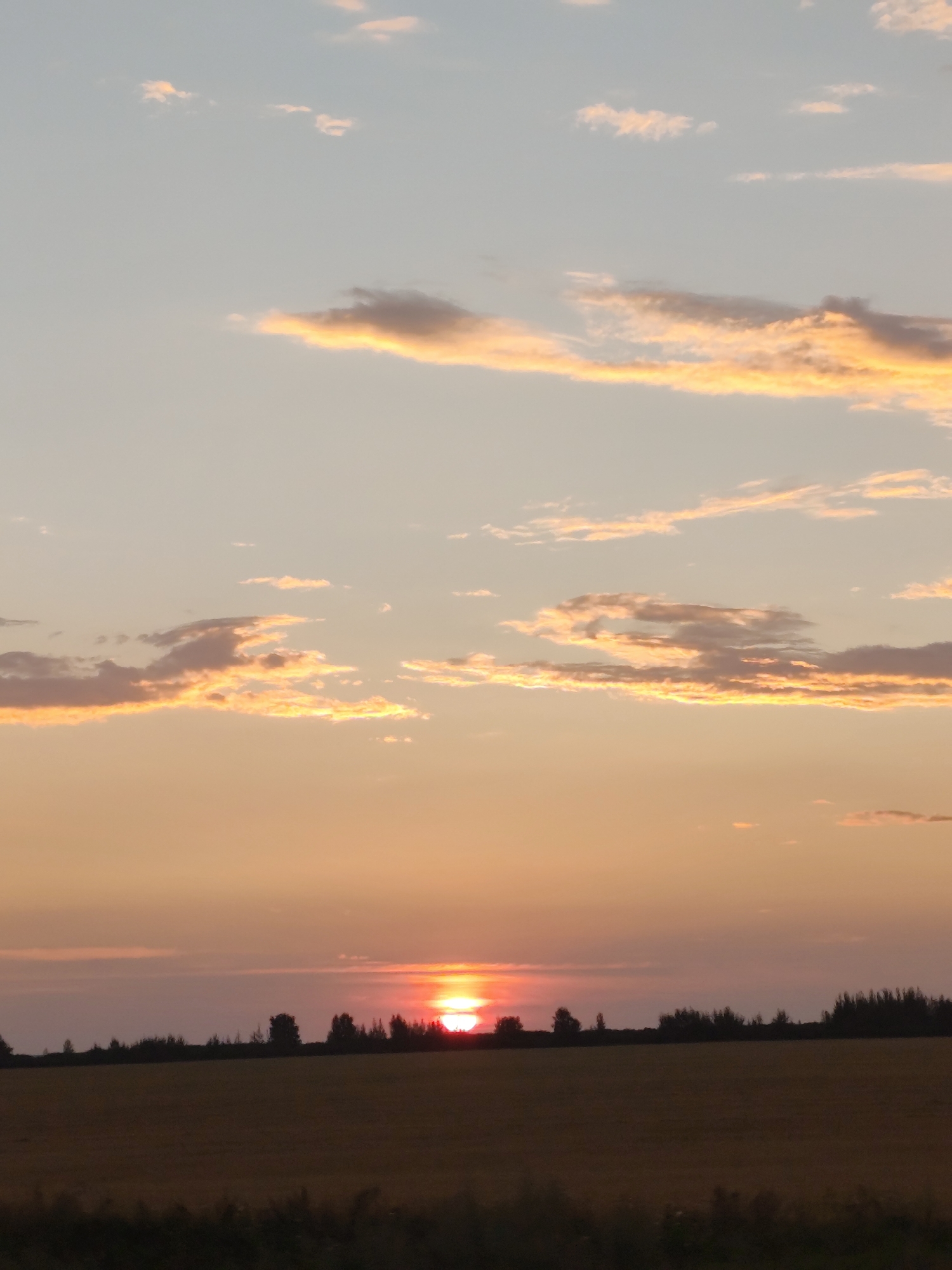 The image shows a sunset over a rural landscape, likely in the Жаңажол ауылдық округі, Kazakhstan. The sky is a gradient of soft colors, with pale blue at the top transitioning to warm orange and pink hues near the horizon. Several wispy clouds are scattered across the sky, catching the light of the setting sun and appearing tinged with gold and pink. The sun itself is a bright, radiant orb just touching the horizon, casting a warm glow.
Below the sky, a silhouetted line of trees and foliage marks the edge of a field. The field appears to be cultivated, with its surface a muted brown or yellow, suggesting it might be a dry crop or harvested land. The foreground shows a dark, indistinct strip of vegetation, possibly a ditch or the edge of a road. The overall atmosphere is peaceful and serene, typical of a rural sunset. There are no people or animals visible in the image.