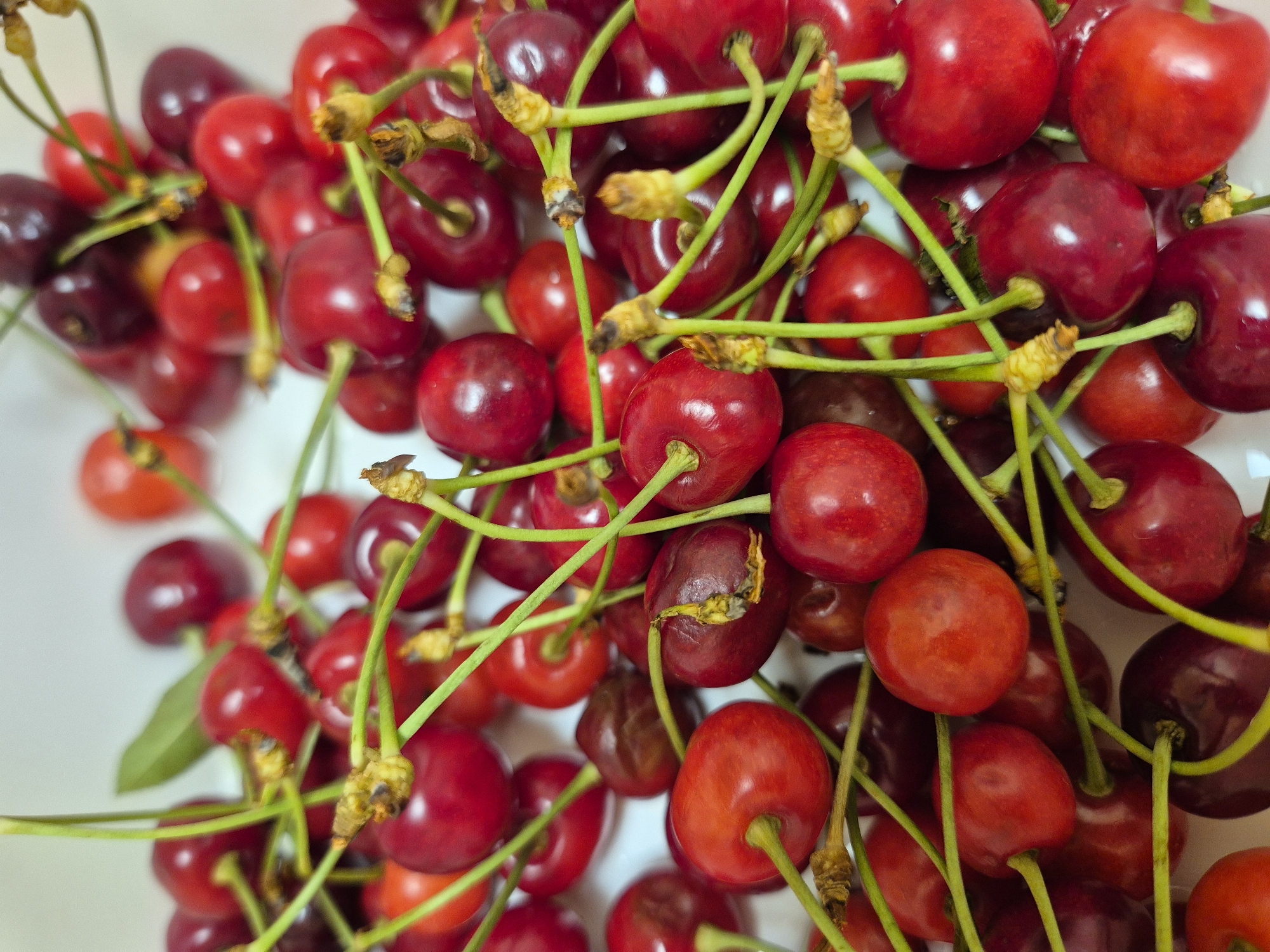 A close-up, overhead shot shows a collection of red cherries on a white surface. The cherries vary in shade from light red to deep maroon, with glossy surfaces reflecting light. Each cherry has a thin green stem. The stems intertwine, creating a dense layer of lines across the image. The cherries are densely packed together, obscuring the background. The image does not contain any people, location is unknown.