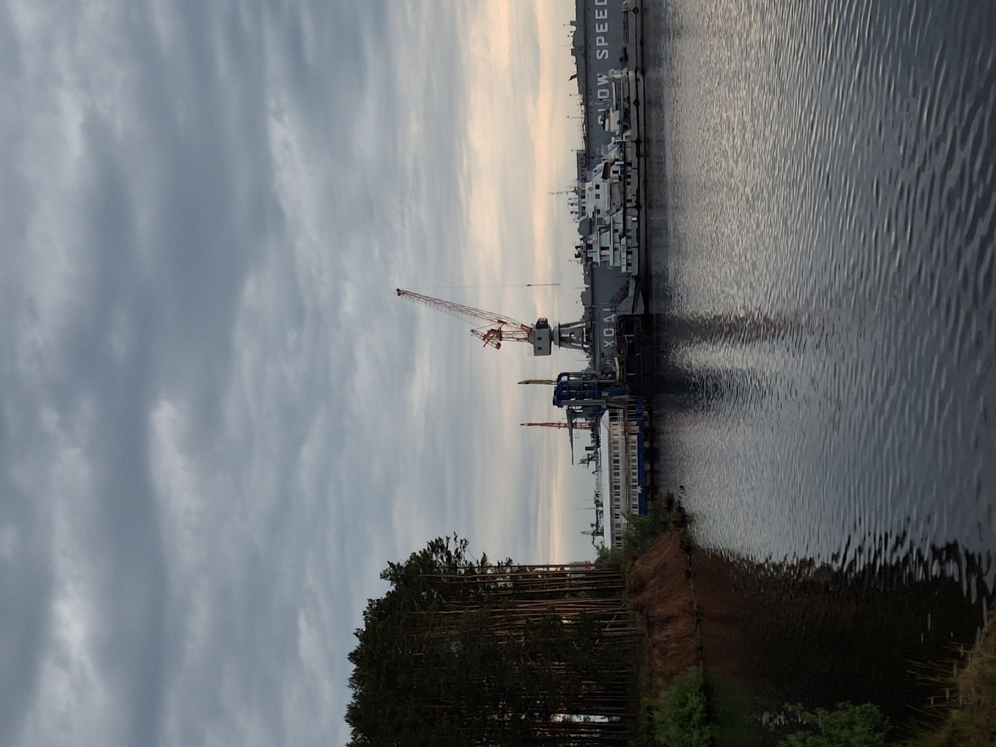 The image depicts a harbor scene in the city of Chaikovsky, Russia, with a body of water, likely the Kama River, occupying the right side. Along the water's edge is a dock with cranes, industrial equipment, and docked ships. The cranes are various sizes and colors, with one prominent red and white lattice crane near the center. The ships are predominantly white and gray. The foreground features a shoreline with trees and vegetation. The sky is overcast with gray clouds.