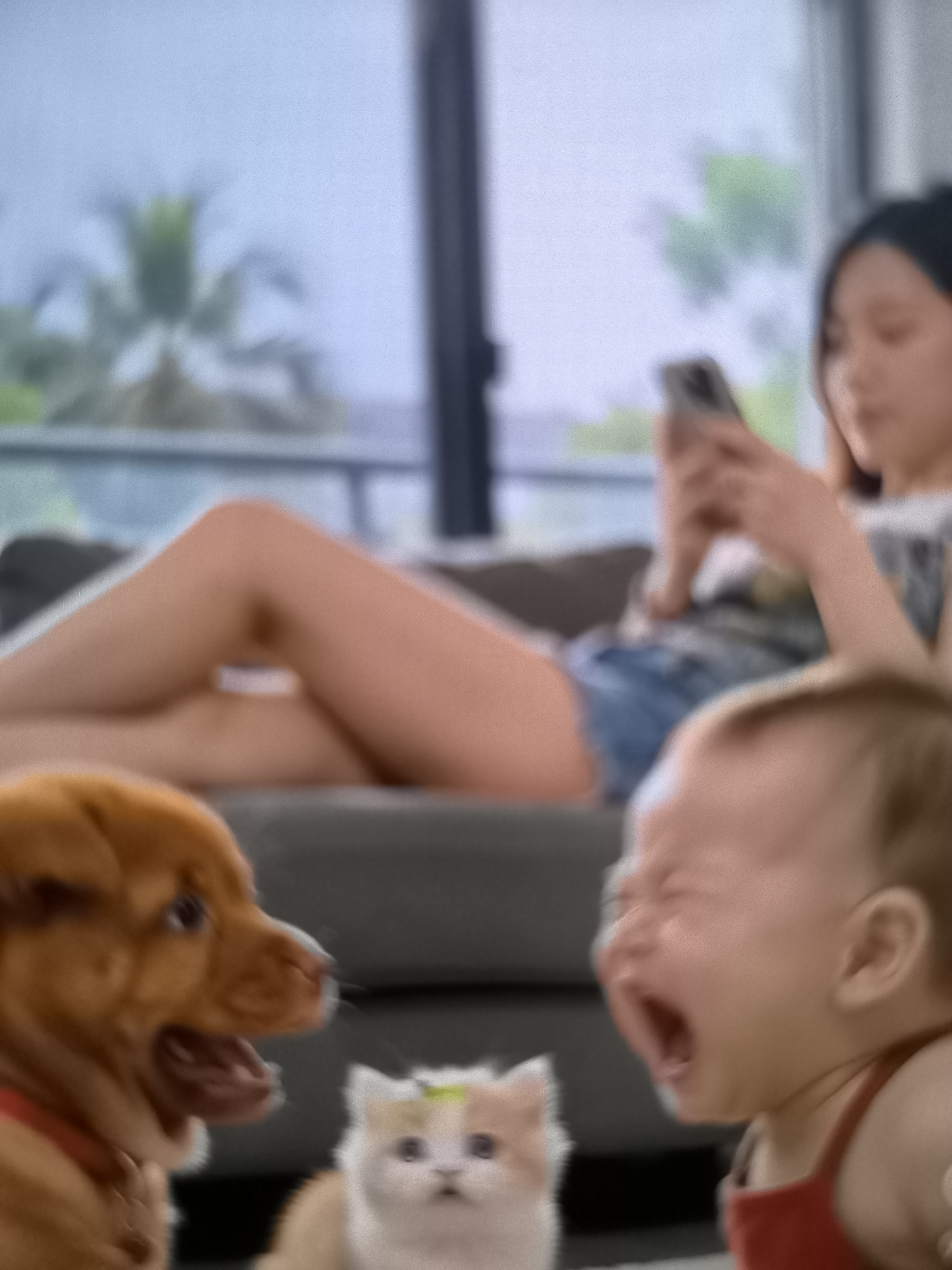 In Banjarejo, Indonesia, a young child is crying loudly while a small dog and a kitten look on. A woman is sitting on a sofa in the background, looking at her phone. The room appears to be a living room with large windows that offer a view of palm trees outside. The overall atmosphere is one of domestic life, with the animals and baby creating a scene of potential chaos or amusement.