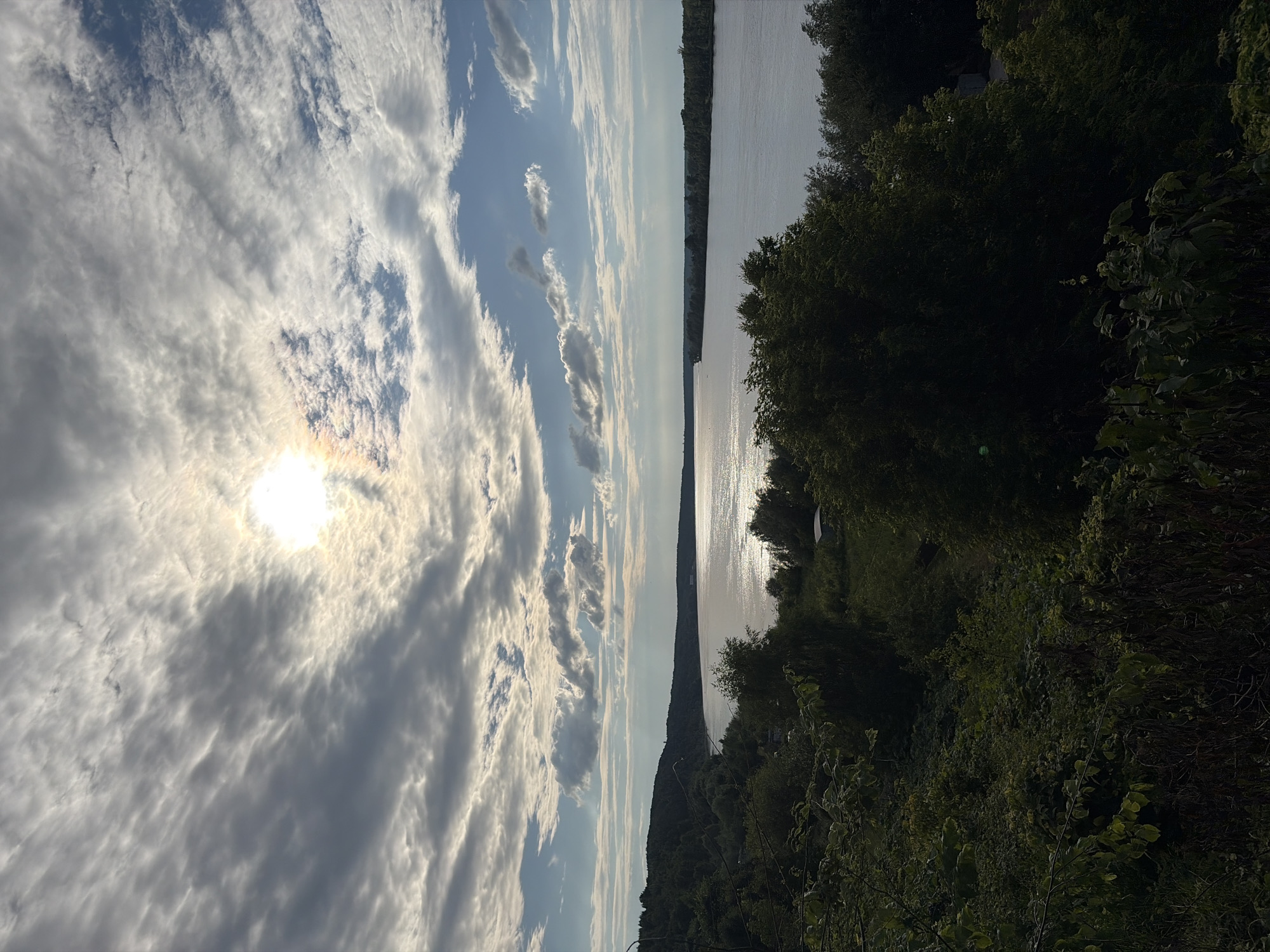 The image depicts a serene natural landscape, likely in Olkhovka, Russia. The scene is dominated by a wide body of water, possibly a river or lake, reflecting the sky and sunlight. Along the right bank of the water, dense green foliage forms a dark, shadowy treeline, suggesting a natural, undeveloped area. The sun, partially obscured by wispy clouds, casts a bright glow on the water's surface and illuminates the sky with soft, diffused light. The clouds are varied in texture, from thin, wispy strands to larger, more solid formations, indicating dynamic weather conditions. The overall impression is one of tranquility and natural beauty, with the sunlight and water creating a peaceful and expansive atmosphere. The time of day appears to be late afternoon or early evening, given the angle of the sun and the quality of the light. There are no visible people or man-made objects, emphasizing the untouched nature of the scene. The rich greens of the trees and the shimmering blues and grays of the sky and water create a harmonious color palette.