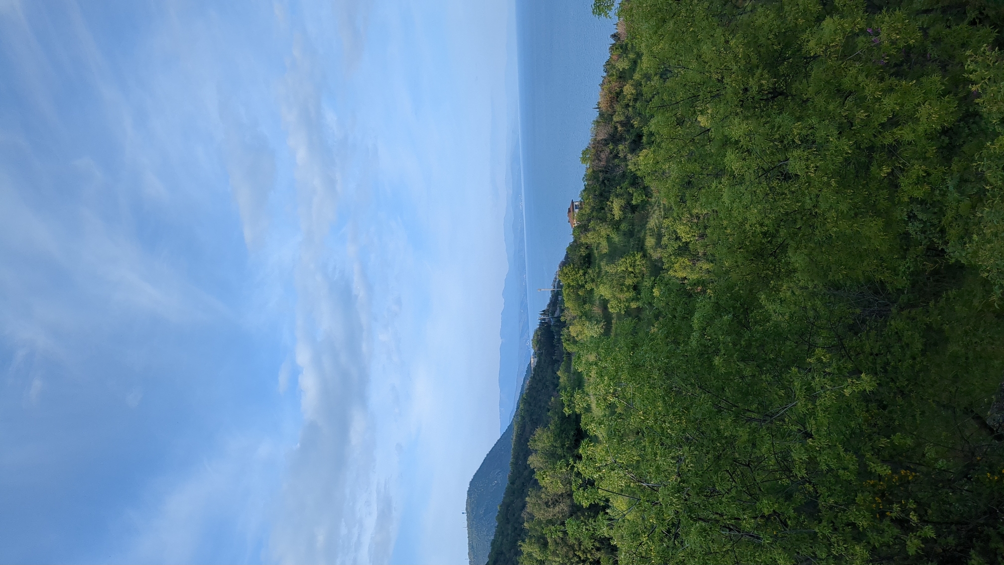 The image shows a landscape featuring a body of water, likely a lake, with a shoreline vegetated with trees and a hillside. The sky is partially cloudy, exhibiting varying shades of blue. In the distance, faint mountain ranges are visible across the water. The location is unidentified.