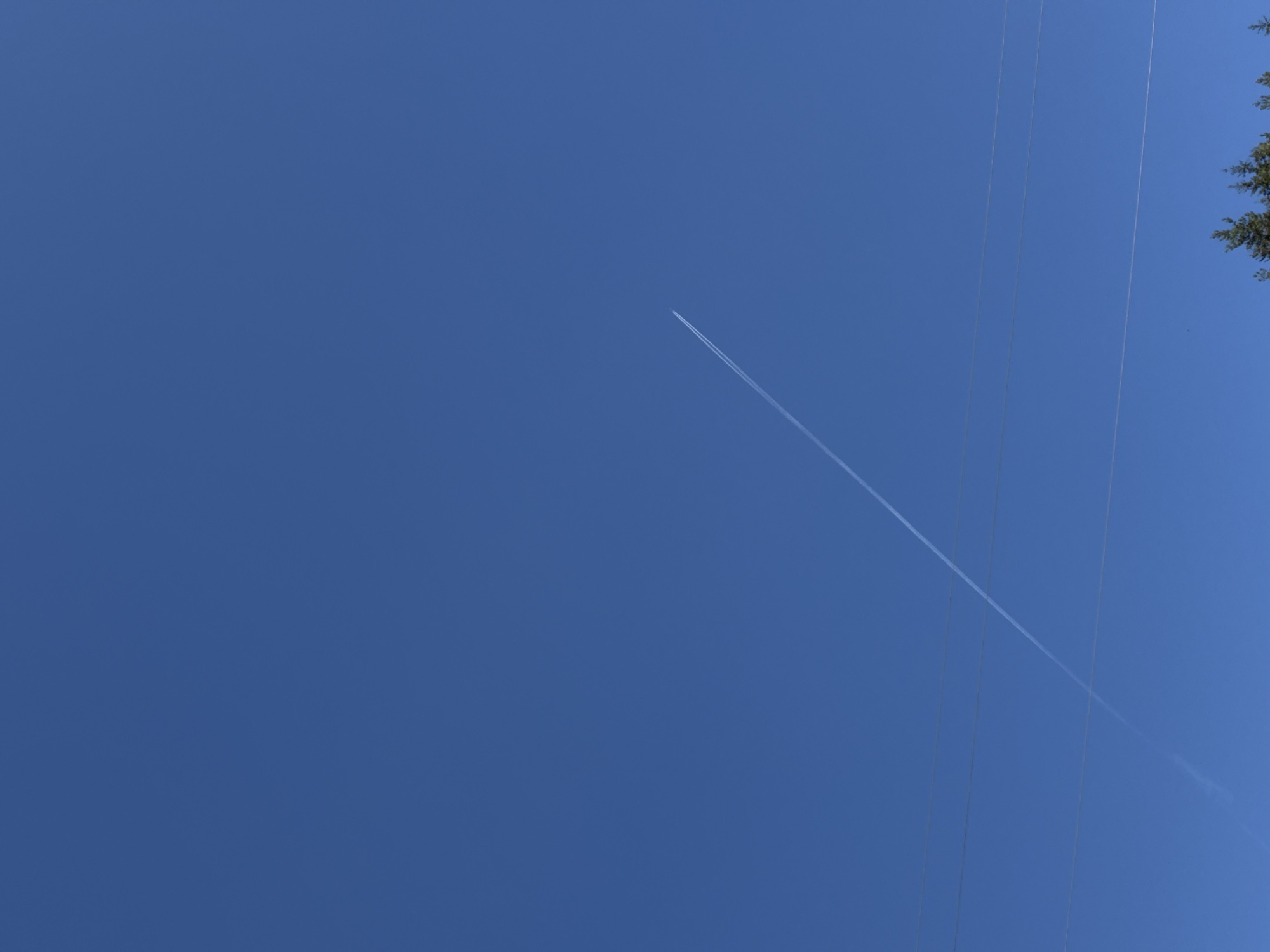The image shows a blue sky with a contrail stretching across it. There are power lines visible on the right side of the frame, along with some trees in the upper right corner.