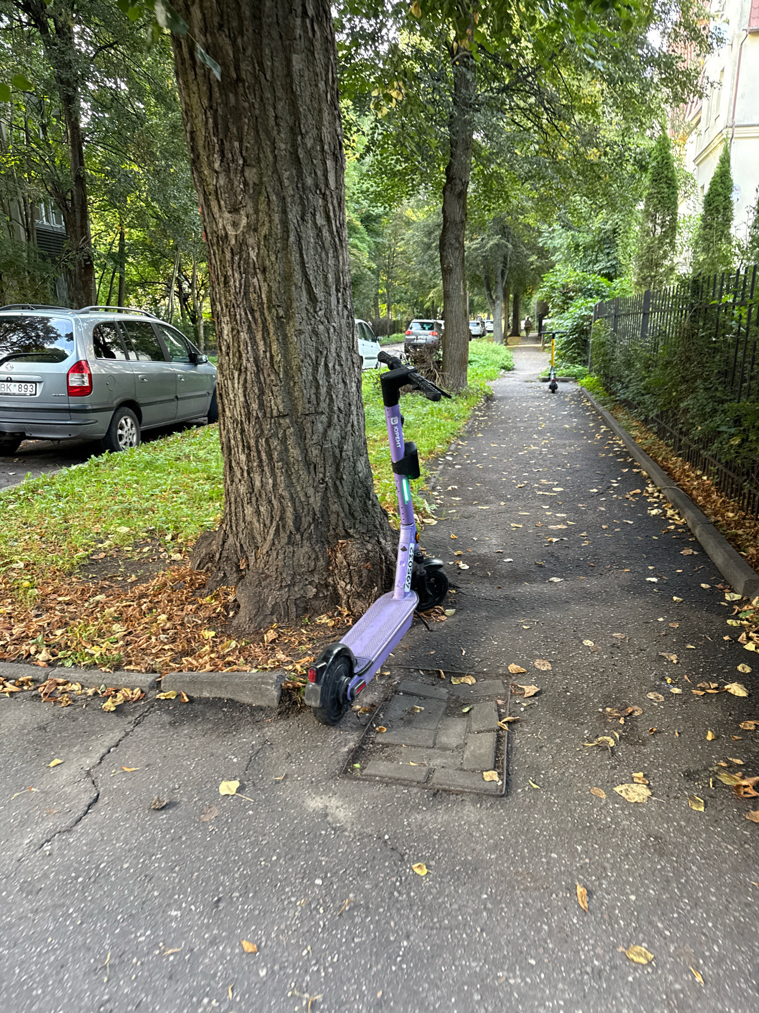 A purple electric scooter with the brand "YOLO" and the number "ZEOSG7" is parked on a paved sidewalk next to a large tree with rough bark. The scooter is leaning against the tree, with its front wheel turned to the right and its kickstand down. The sidewalk is cracked in places and scattered with fallen leaves. To the left of the sidewalk, there is a patch of green grass and a gray station wagon with a license plate ending in "893". In the background, there is a line of trees, a black metal fence, and a building with a tiled roof. The scene appears to be a residential area in the city of Kaliningrad, Russia, likely during autumn due to the presence of fallen leaves. Another yellow electric scooter is visible further down the sidewalk in the distance.