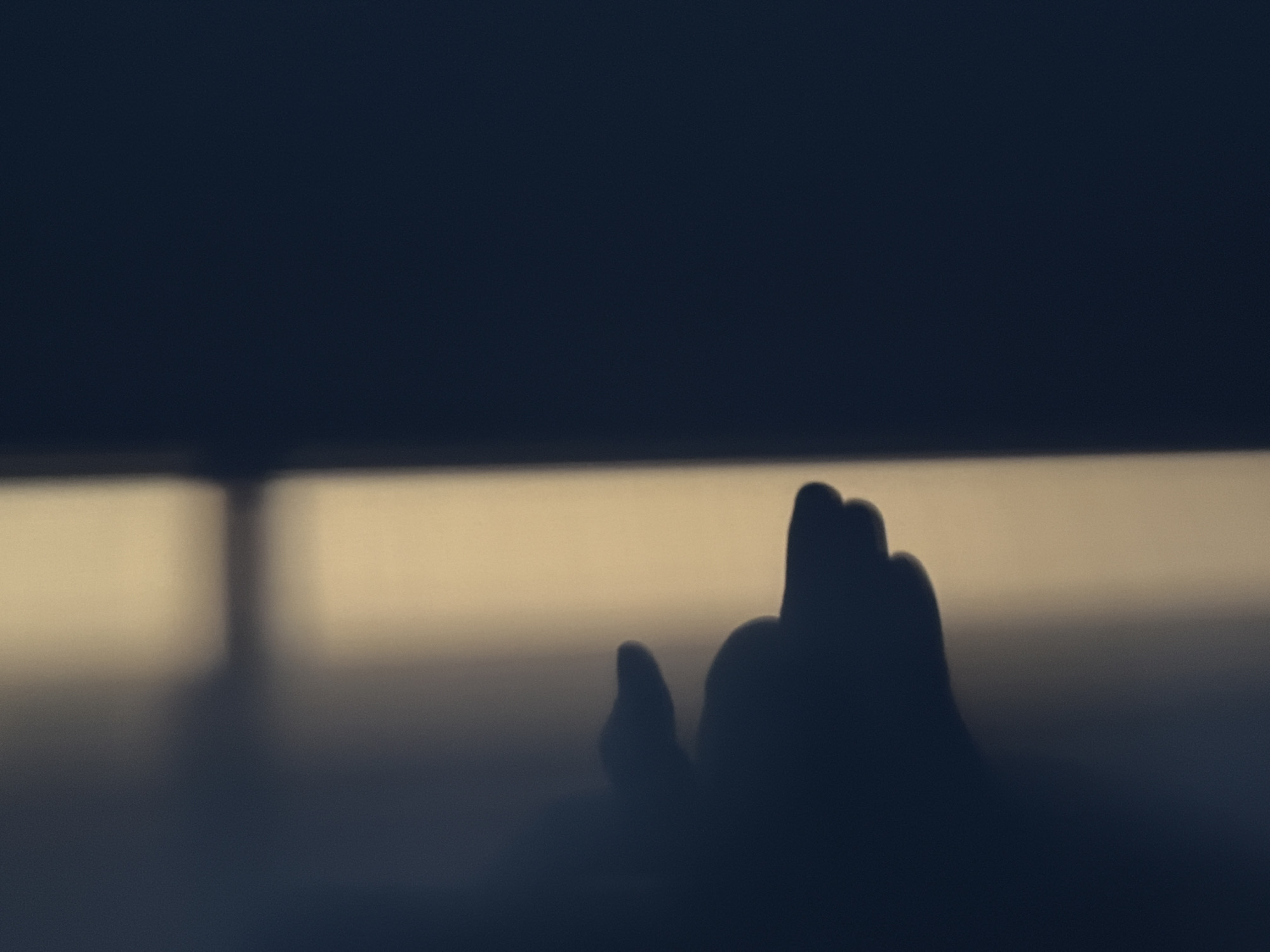 The image presents a minimalist and abstract composition dominated by dark silhouettes against a hazy, light-colored background, creating a sense of depth and mystery.
On the right side of the frame, a distinct silhouette of a human hand is visible, with fingers slightly curled upwards, creating a jagged profile against the lighter horizon. Its form is dark and undefined, emphasizing its outline rather than internal details. To the left of the frame, a faint, dark vertical shape extends upwards from the bottom, appearing as another indistinct silhouette or shadow, possibly a reflection or an object in the foreground.
A prominent horizontal band of soft, warm, pale yellow or beige light stretches across the middle of the image, acting as a horizon line. This band of light separates the dark foreground and the silhouetted subjects from the upper portion of the image, which is a solid, dark, deep blue or navy tone. The overall lighting suggests either twilight (dawn or dusk) or an indoor setting where a light source creates strong backlighting. The scene conveys a quiet, contemplative, or possibly melancholic mood.
There is no discernible activity or specific event taking place, rather it captures a moment or a still life arrangement of shadows and light. No text is visible in the image. Given the provided context, the image is associated with Chaikovsky, Russia, although no visual cues within the image confirm this location.