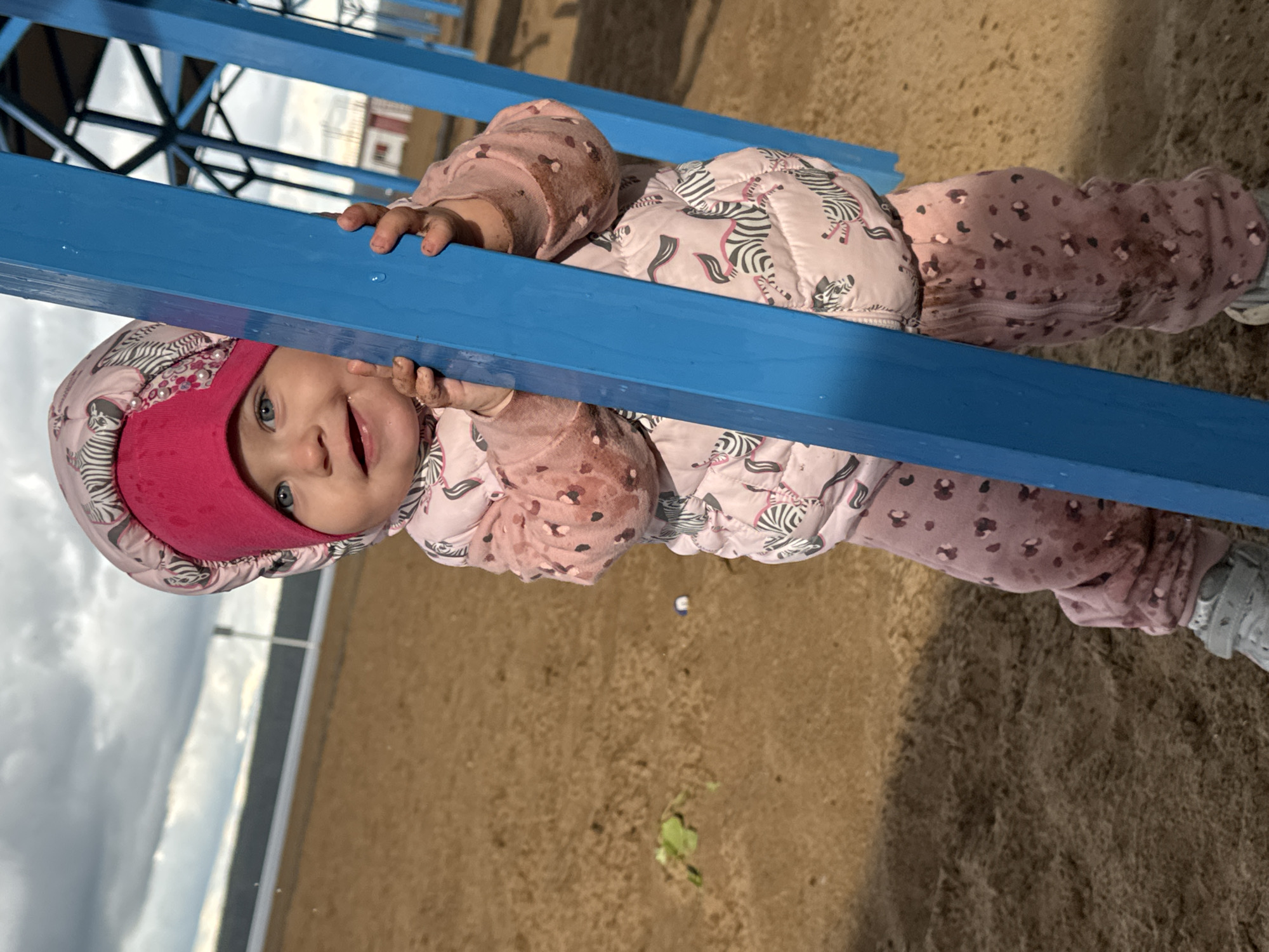 This image, rotated 90 degrees clockwise, features a smiling baby engaging with a blue metal playground structure in a sandy outdoor setting, likely a playground in Chaikovsky, Russia. The baby, with bright blue eyes, looks directly at the camera with an open-mouthed, joyful expression.
The child is warmly dressed in a padded pink jacket adorned with a white and black zebra pattern, pink pants with a leopard print, and a solid pink hat or bonnet. Their hands, and portions of their clothing, particularly the sleeves and pants, are visibly soiled with dirt or sand, indicating active play.
The blue metal bars, which the baby is holding onto, traverse the image horizontally. The ground beneath the baby is composed of sand, on which a small green leaf and a tiny white and blue object are discernible. The background shows a cloudy sky, suggesting an overcast day, along with indistinct structures that could be other parts of the playground or distant buildings. No text is visible in the image. The scene captures a happy moment of outdoor play.