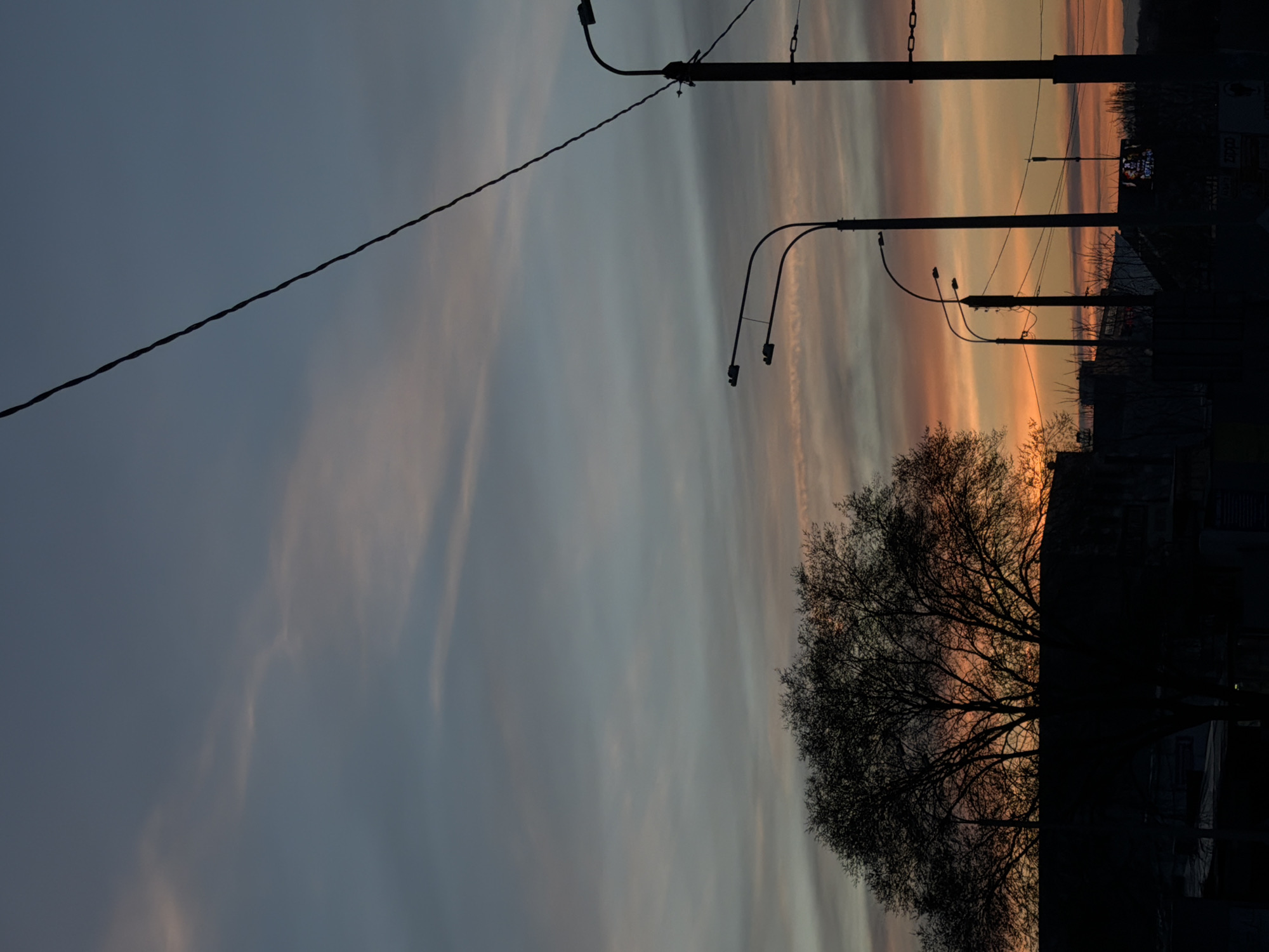 The image shows a sunset in Rostov-on-Don, Russia. The sky is filled with bands of blue, gray, orange, and yellow hues. In the foreground, a bare tree silhouetted against the fading light. Power lines crisscross the sky. Streetlights line the horizon. In the background, dark silhouettes of buildings can be discerned. The image is rotated 90 degrees counterclockwise.
