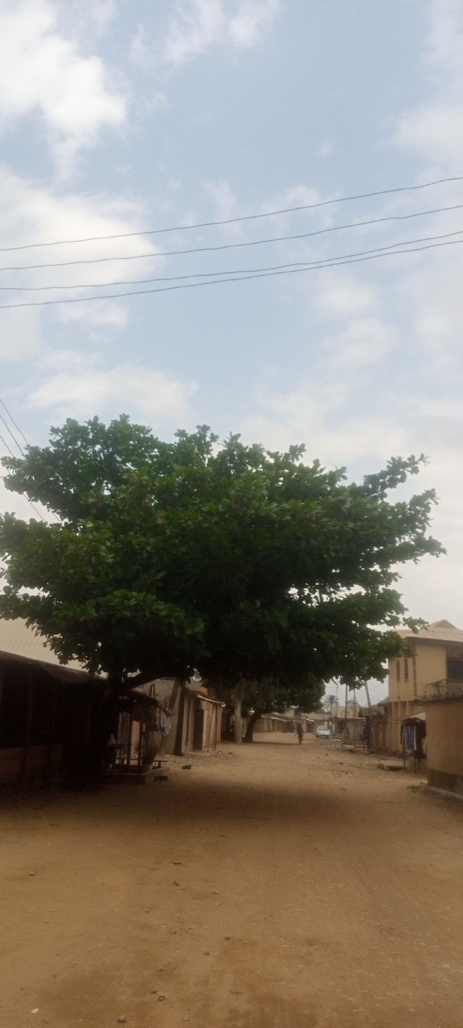 The scene is a dirt road in Sabon Tasha, Nigeria, with buildings lining both sides. A large, leafy tree dominates the left side of the frame, casting a shadow across the road. Utility lines are visible against a sky with scattered clouds. In the distance, a person walks along the road, and a white car is parked on the right side of the street. The buildings appear to be a mix of residential and commercial structures, some with corrugated metal roofs. Clothes hang outside one of the buildings on the right.