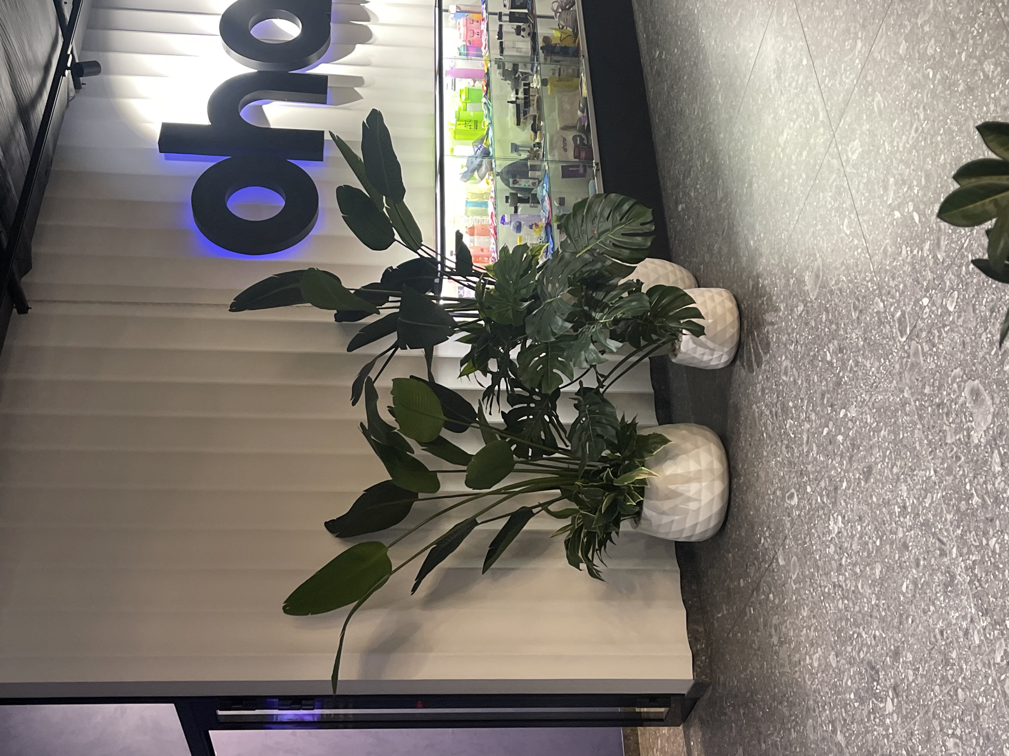 The image captures an interior view in Moscow, Russia. A white wall with horizontal grooves serves as a backdrop, decorated with a black, stylized logo of "uno" highlighted with blue undertones. Adjacent to the wall, a glass display case showcases various items, likely merchandise.
In the foreground, three white, geometrically patterned pots house thriving green plants. The plant on the left is a bird of paradise, while the others are Monstera. The floor is made of gray tiles with a speckled pattern. The scene is well-lit.