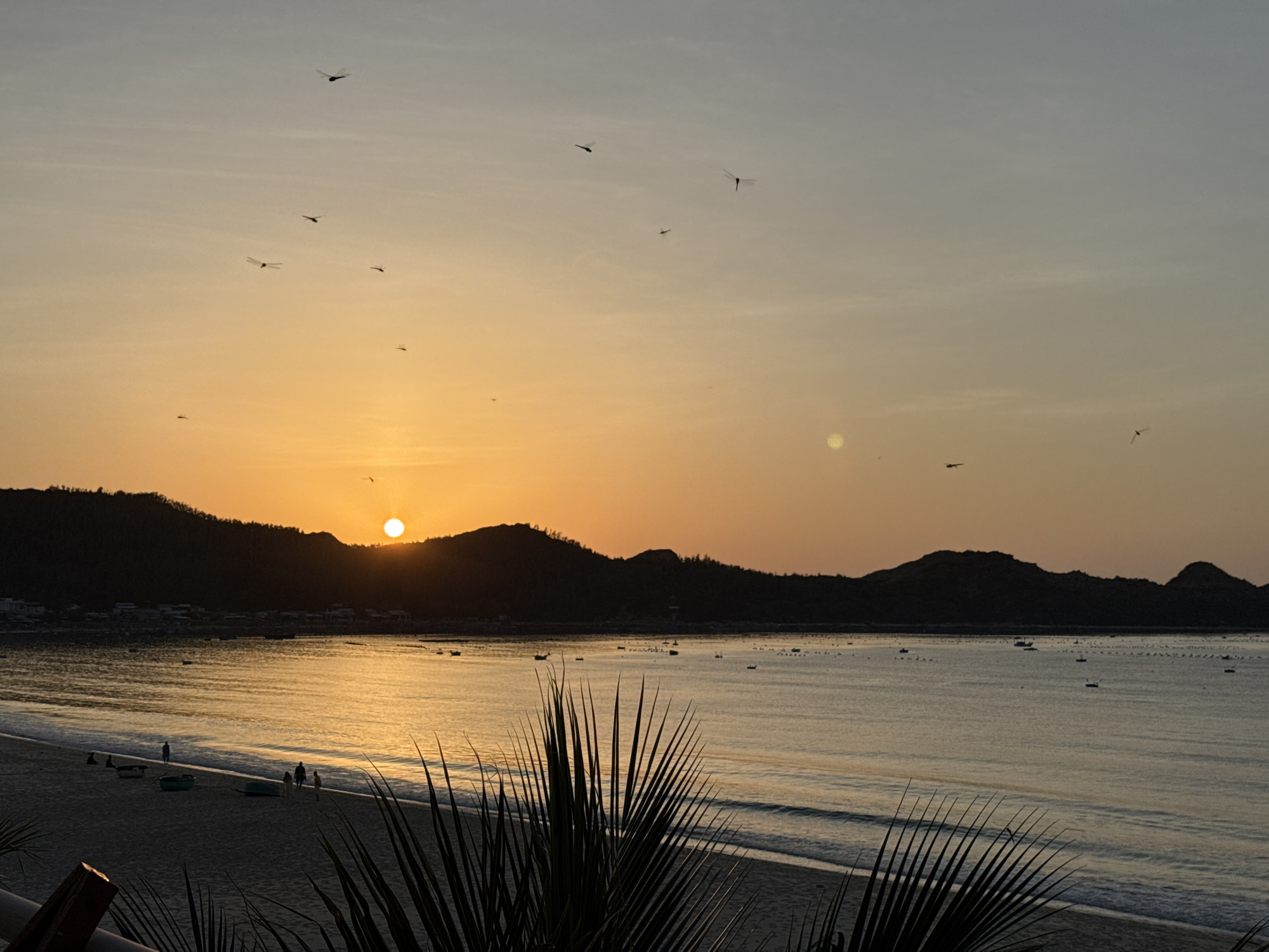 This is a photograph of a sunset over the ocean in Song Cau, Vietnam. The sun is low on the horizon, casting a warm orange glow across the sky and reflecting on the water. In the foreground, a sandy beach is visible, with a few people and boats. The ocean is calm, with small waves lapping at the shore. In the background, silhouetted hills rise against the colorful sky. Dragonflies can be seen in flight against the fading light. The overall scene depicts a tranquil evening at the coast.