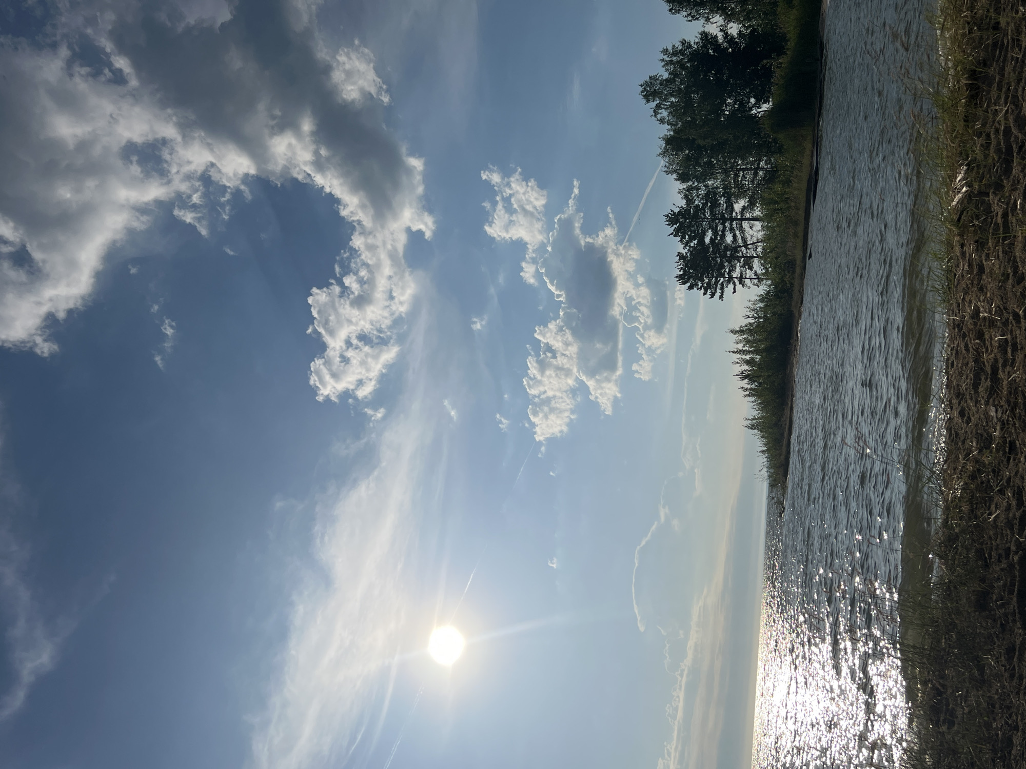 The image depicts a body of water, possibly a lake or sea, on a sunny day. The sun is bright and high in the sky, casting a strong glare on the water's surface. Wispy white clouds are scattered across a clear blue sky. A shoreline with sparse vegetation, including tall grass and some trees, forms the foreground and mid-ground. The trees on the right side of the image are dense and dark green, contrasting with the lighter green foliage seen on the left. The water is choppy, with visible ripples and waves. The overall scene is serene and natural, suggesting an outdoor location. There are no people or any discernable man-made structures in the image. The location is not specified to be Borovoe, Russia in the image itself.