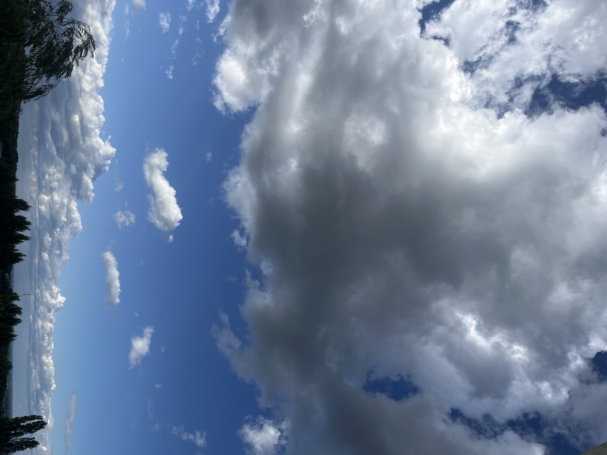 The image shows a view of the sky above a city skyline, with a mix of dark and light clouds against a bright blue sky. The clouds are varied in texture and density, with some appearing fluffy and white, while others are dark and heavy, suggesting impending rain. Below the sky, a line of trees forms the city's horizon, with a few buildings peeking through. The overall impression is of a dynamic and possibly changing weather condition.