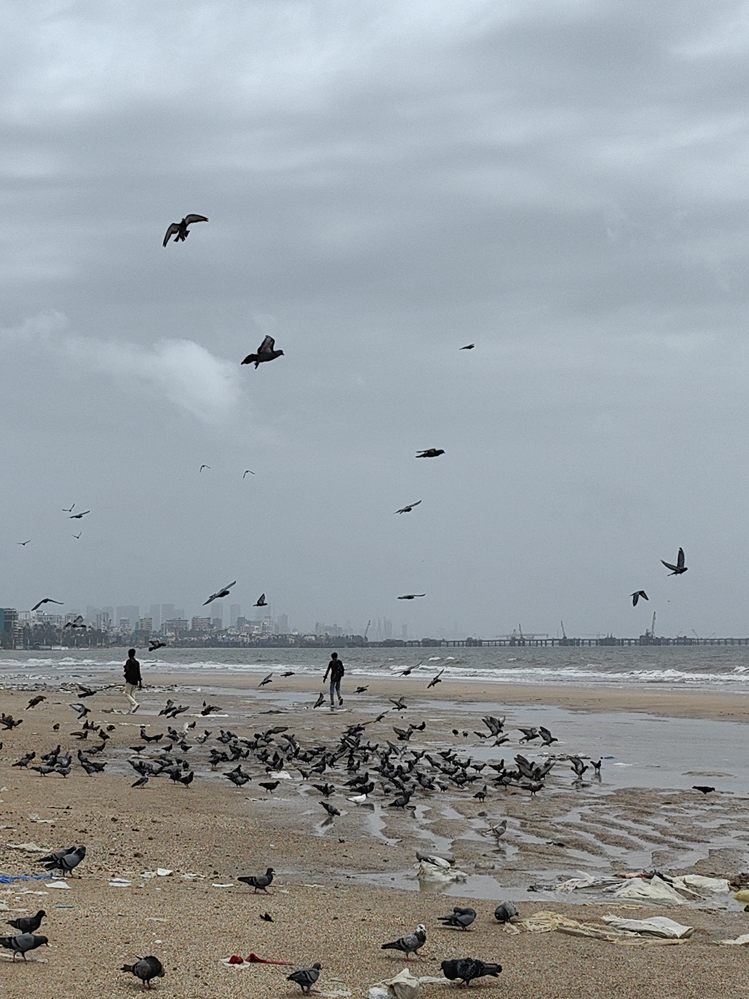 This is a photograph of a cloudy day at a beach in Mumbai, India, with a large flock of pigeons on the sandy shore and in the air. In the foreground, the beach is covered in sand, scattered debris, and numerous pigeons, some of which are standing, while others are pecking at the ground. Further back, two men are walking on the wet sand near the waterline. The ocean is visible behind them, with waves crashing on the shore. In the distance, a cityscape of Mumbai is visible, with tall buildings and a pier extending into the sea. The sky is overcast with grey clouds, and the overall atmosphere is somber. The location is likely the Marine Drive, known for its promenade and pigeon feeding activities.