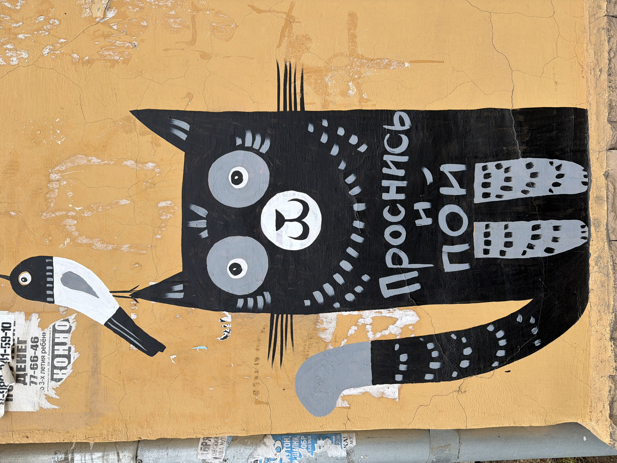 The image captures a segment of an exterior wall in Votkinsk, Russia, featuring a large, stylized mural of a black cat holding a bird in its mouth. The cat is depicted with simplified, geometric shapes, including large, round eyes and a white nose. It has a long, curved tail and two rectangular legs, all decorated with white spots. The cat is painted with Russian text to the right of its head, which translates to "Wake up, sing." The mural is set against a background of yellow plaster that is cracking and peeling in places. There are remnants of old posters and advertisements at the bottom and to the left of the mural. A section of a gray metal pipe runs along the bottom edge of the wall. The mural is presumably on a building in Votkinsk, Russia.