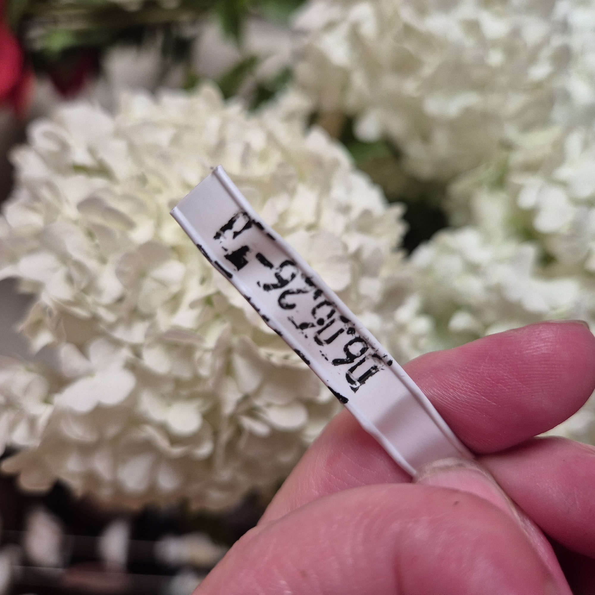 A close-up shot shows a person's finger holding a small, white label with black stamped text. The text on the label reads "06.05.26-71". The background is blurred and appears to be a cluster of white flowers, possibly hydrangeas, with some green foliage visible. The lighting is natural and illuminates the label clearly. There is no visible information indicating the location in Новостройка, Russia.