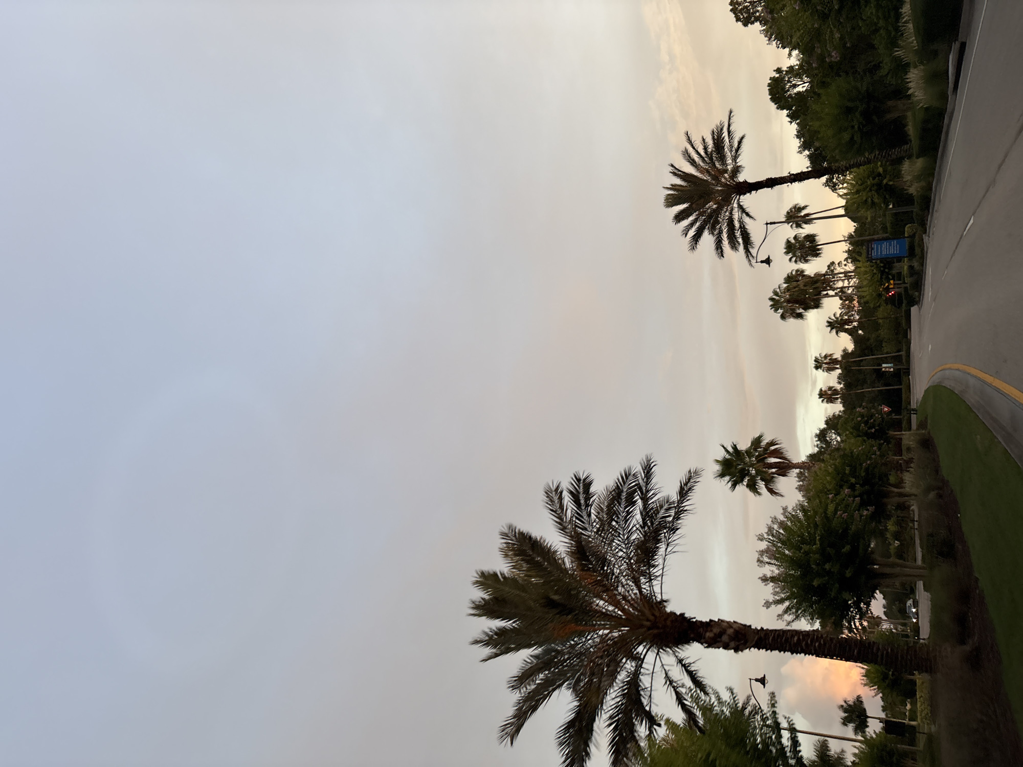 This is a ground-level, eye-level, exterior shot of a road in North Port, Florida, USA, at dusk. Palm trees and lush green landscaping line the right side of the road, which curves to the left. The sky is a pale blue and orange, with some wispy clouds. A few streetlights are visible among the trees. A blue sign is mounted on a pole on the right side of the road, near a traffic signal. The overall impression is one of a tropical evening.