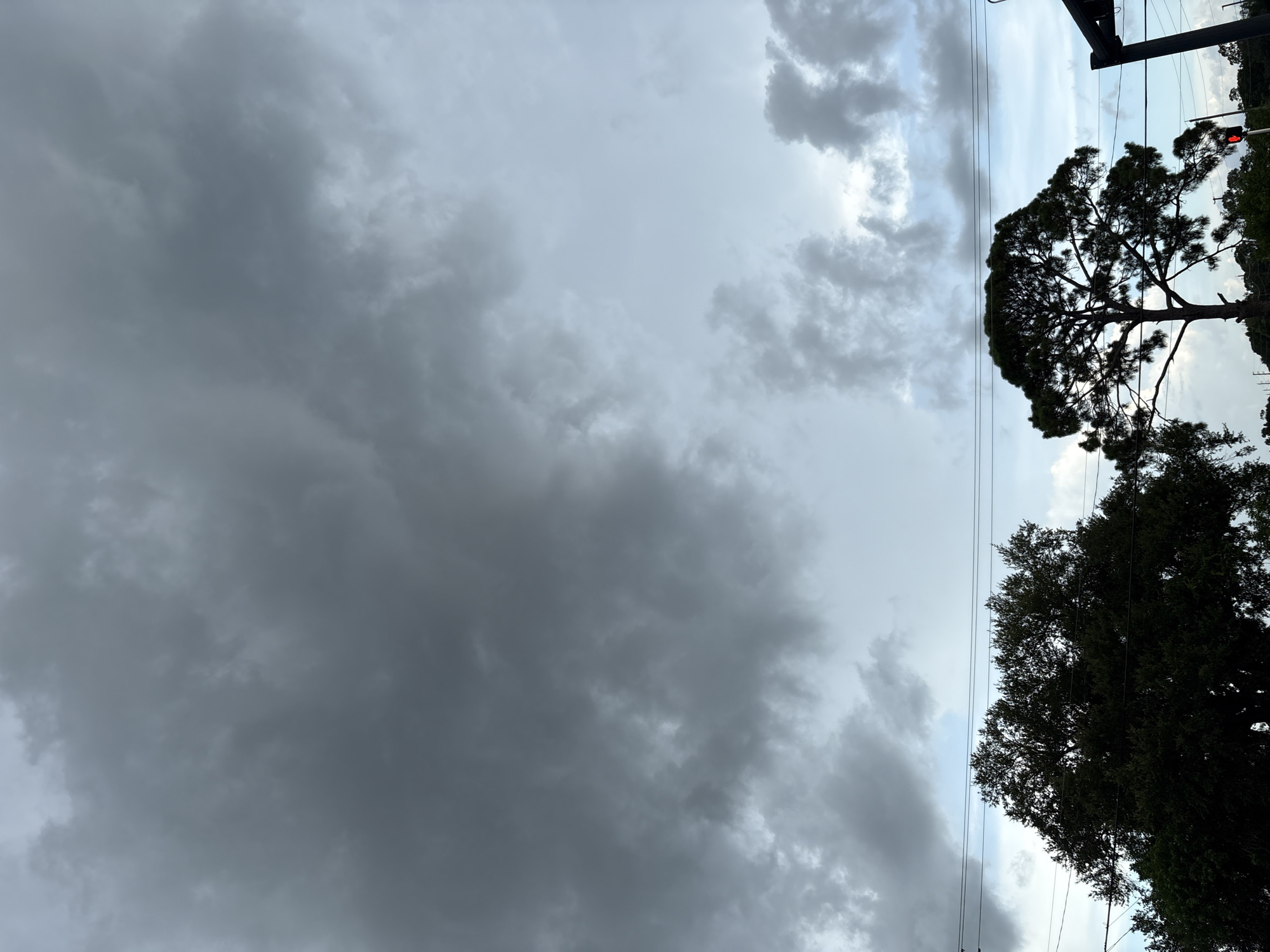 This is an exterior, full-frame, vertical shot of a stormy sky over what appears to be a suburban or rural area. The sky is dominated by dark, heavy clouds that fill the upper two-thirds of the frame, with lighter, wispy clouds and patches of blue sky visible towards the bottom. In the foreground, silhouetted against the sky, are the tops of two large trees. The tree on the left is a dense, dark green foliage, while the tree on the right is a tall pine with a distinct, wide canopy. Power lines are visible stretching horizontally across the image in front of the trees. On the far right, a traffic signal with a red light is partially visible, suggesting the presence of a road or intersection. The overall impression is one of an approaching storm. The location is identified as Bradenton, United States.