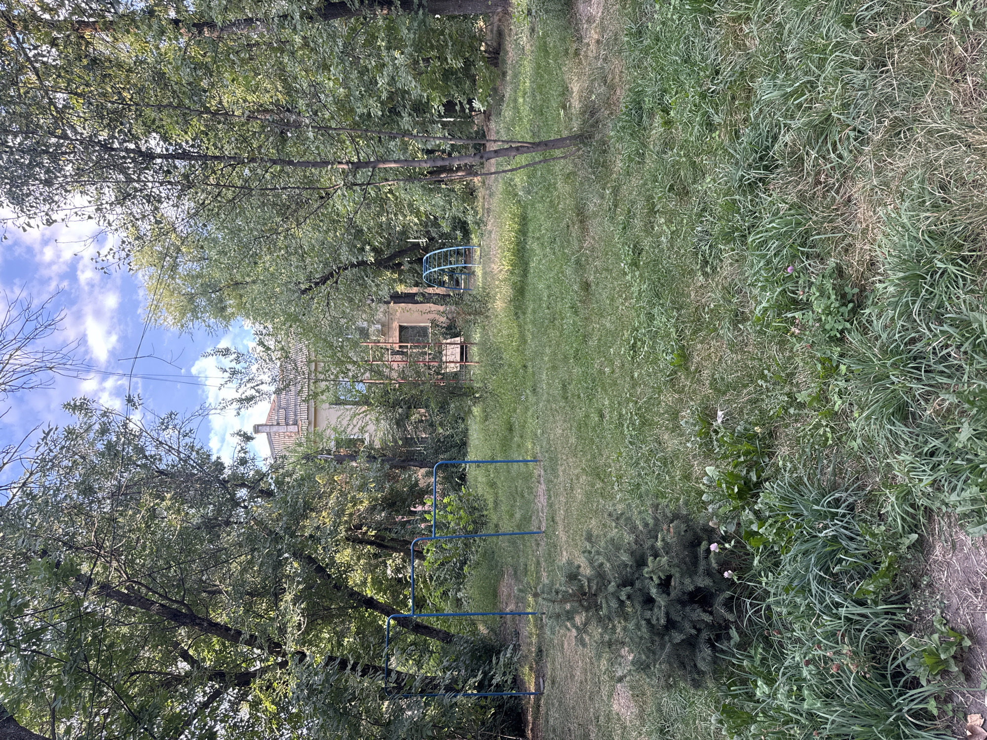 The image depicts a courtyard area, likely in a residential complex, with elements of urban decay and overgrown nature. A multi-story building with a tiled roof is visible in the background, partially obscured by trees. The building appears to be constructed of concrete and has multiple windows. In the foreground, a playground area is evident, featuring a blue metal pull-up bar structure and a blue arched climbing frame. The ground is covered in grass, some of which is dry and patchy, indicating a lack of maintenance. A small evergreen tree stands prominently in the middle of the frame. The overall impression is one of a slightly neglected public space within a city setting. The image is consistent with an outdoor scene in Kara-Balta, Kyrgyzstan, where similar courtyards with playgrounds and residential buildings are common. There are no people or animals visible in the image.