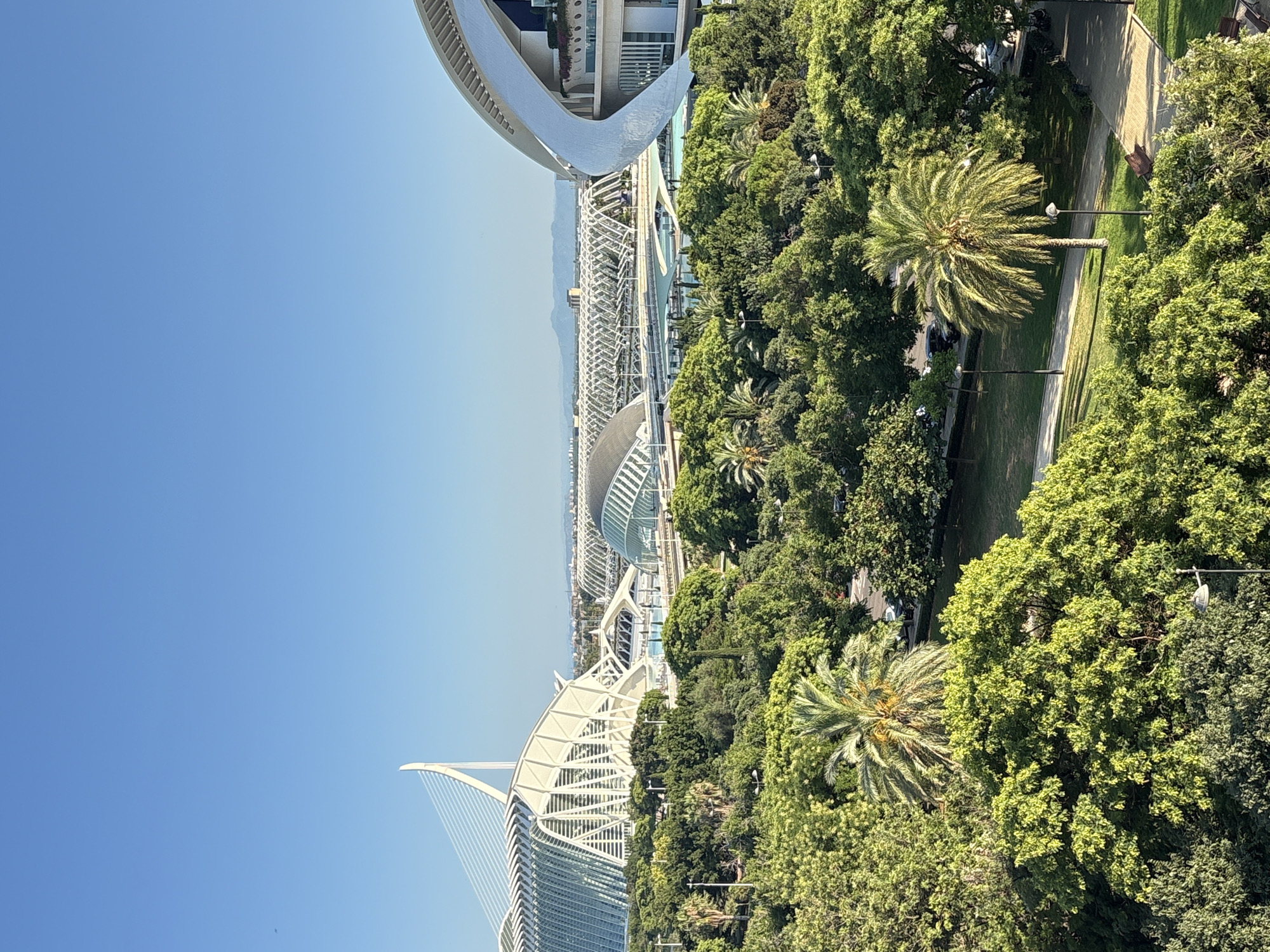 The image shows a panoramic view of the City of Arts and Sciences in Valencia, Spain, on a clear day. The foreground is filled with lush green trees and palm trees. In the midground, there is a body of water with an arched bridge crossing over it. Beyond the water, the distinctive white, modern architecture of the City of Arts and Sciences complex is visible, including structures that resemble a large eye, a sail, and a ribbed roof. The sky is a clear, bright blue with a faint airplane visible in the upper left quadrant. In the distance, mountains can be seen on the horizon. The scene appears to be a park or public space, with pathways and streetlights visible among the trees. No people are prominently featured in the image.