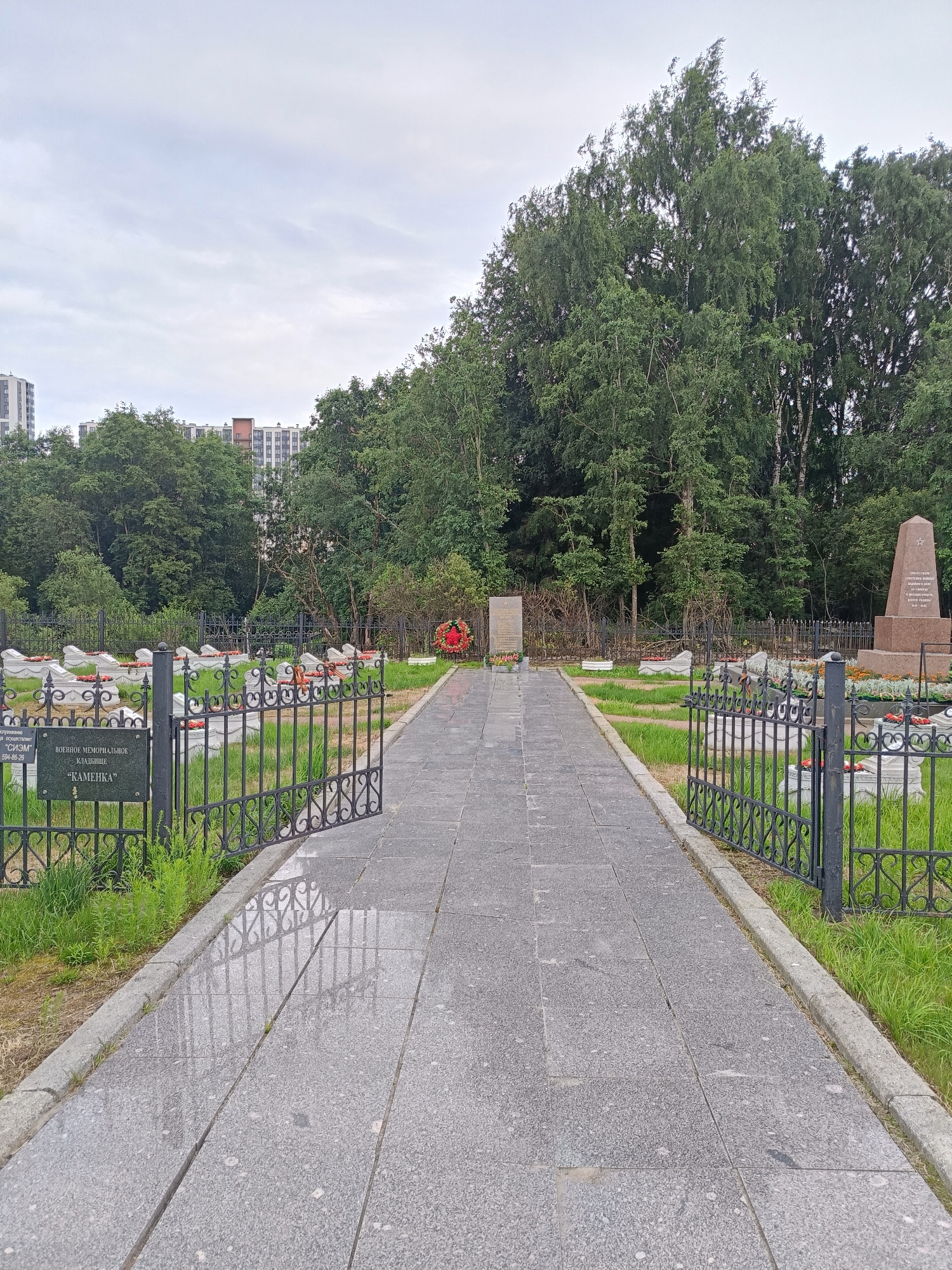 The image depicts a view of the military memorial cemetery "Kamenka" in Saint Petersburg, Russia. The scene is characterized by rows of graves, marked by white-topped tombstones and adorned with red flowers. A black wrought-iron fence with an open gate stands in the foreground, leading to a paved walkway. The walkway is flanked by grass and more graves, with a memorial wreath visible in the distance. Behind the cemetery, a dense forest of green trees forms a natural backdrop, and in the far distance, tall residential buildings rise against an overcast sky. The overall atmosphere is somber and respectful, indicative of a place of remembrance.