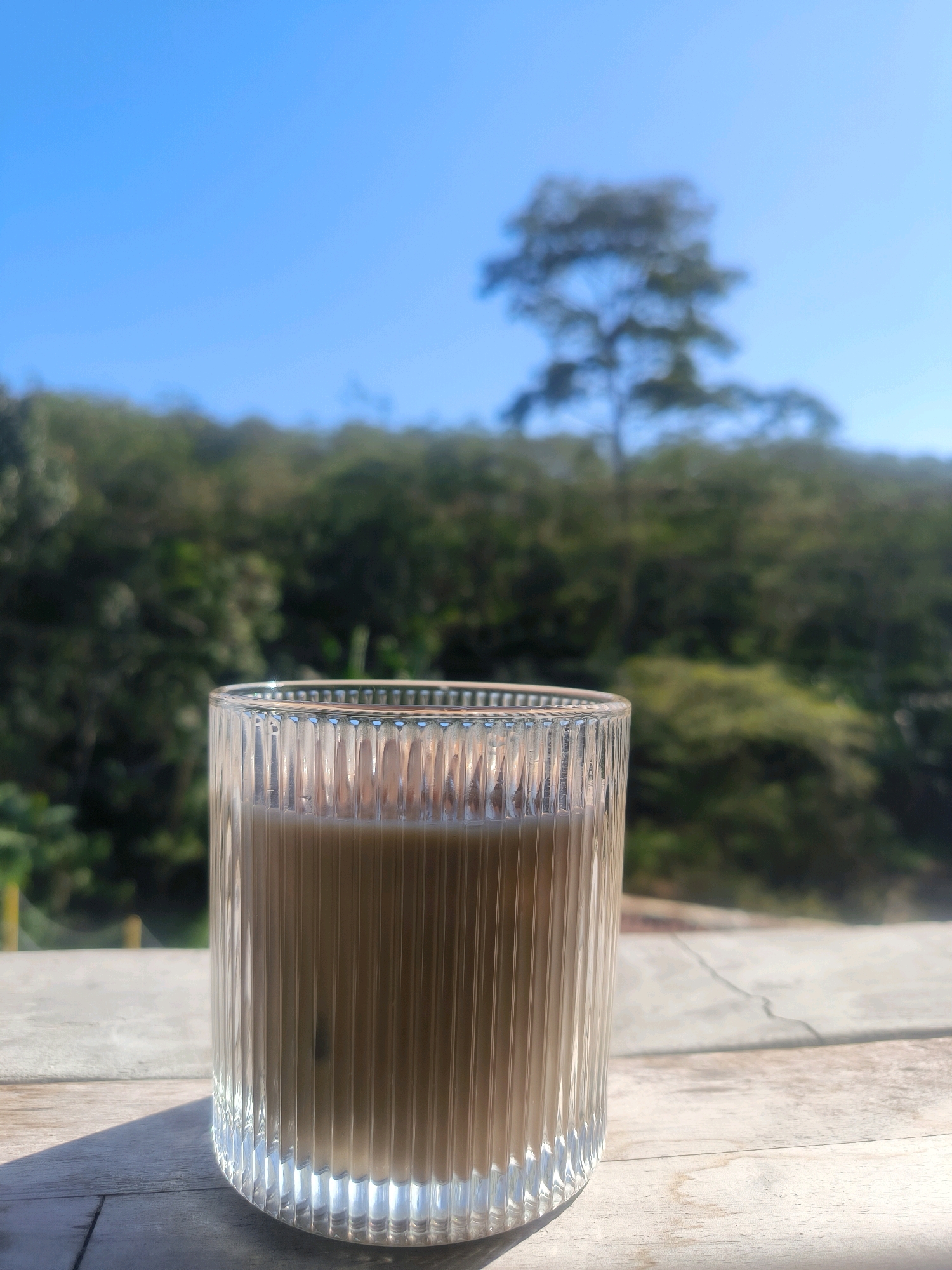 A tall, fluted glass filled with a light brown beverage, possibly coffee or iced tea, sits on a weathered wooden table. The glass is positioned slightly off-center to the right. The beverage appears to have ice cubes within it. Behind the glass, a lush green landscape with trees and foliage stretches across the background, leading up to a clear blue sky. A single, tall tree is prominent in the mid-ground against the sky. The sunlight casts a shadow from the glass onto the table. The scene suggests an outdoor setting, possibly a cafe or restaurant terrace in Bawen, Indonesia, offering a view of the natural surroundings. There are no people visible in the image.