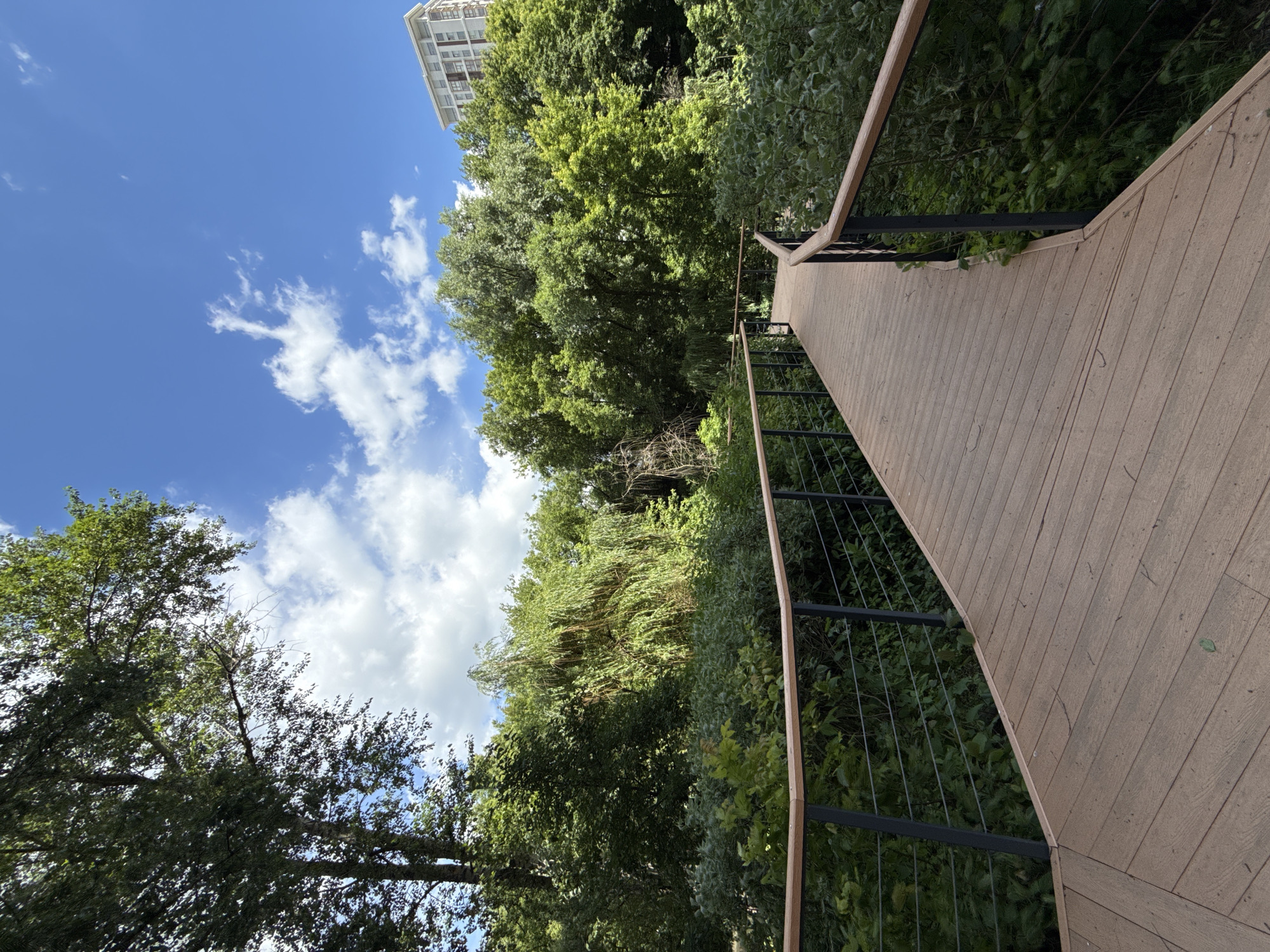 A wooden boardwalk with dark metal railings curves through a lush green forest under a bright blue sky with scattered white clouds. The boardwalk is the main subject, leading the viewer's eye into the dense foliage. To the right, a modern, light-colored building with multiple windows is visible peeking through the trees at the top of the frame. The scene appears to be a park or nature reserve within a city, possibly with urban development nearby. This image was taken in Moscow, Russia.