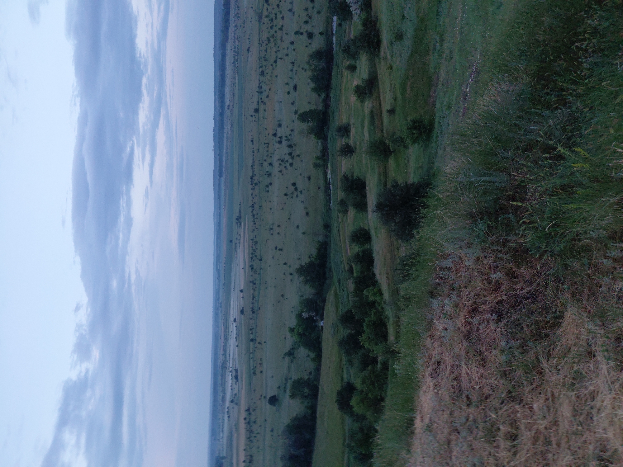 An outdoor, landscape photograph captures a rural scene in the early morning or late evening, indicated by the dim lighting and overcast sky. The foreground features a grassy embankment, with dry, golden grass mixed with green vegetation. This slope leads down to a wide, flat valley dotted with scattered trees and patches of darker green foliage. A winding creek or river meanders through the valley, its surface reflecting the muted sky. In the distance, the landscape continues with more fields and trees, eventually meeting a hazy horizon. The overall impression is one of a tranquil, undeveloped natural setting. This scene is located in the village of Ustyvytsia, Poltava Oblast, Ukraine.