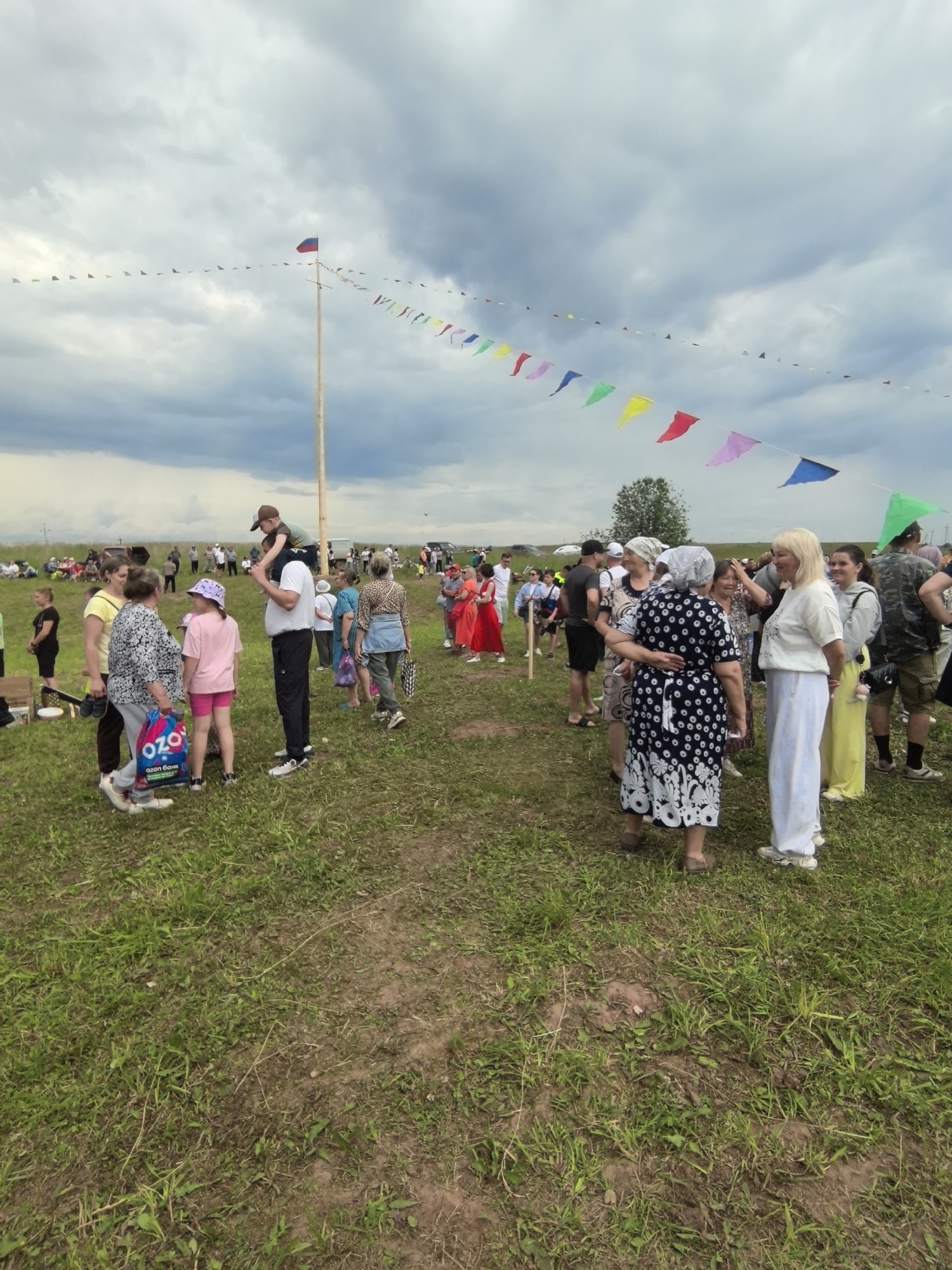 The image captures an outdoor gathering in a grassy field, possibly in or near the village of Кояново, Russia, as indicated by the Russian flag atop a tall wooden pole and a string of triangular, multi-colored flags stretching across the sky. A diverse crowd of people of various ages are present, dressed in casual attire, suggesting a community event or festival. Some individuals are engaged in conversation, while others stand in groups. In the foreground, a group of people are gathered, including a man with a child on his shoulders, and several women. A woman in the center is carrying a shopping bag with "OZON" branding. In the background, more people are scattered across the field, some seated and others standing, observing the proceedings. The environment appears to be rural, with a tree visible in the distance and a cloudy sky overhead.