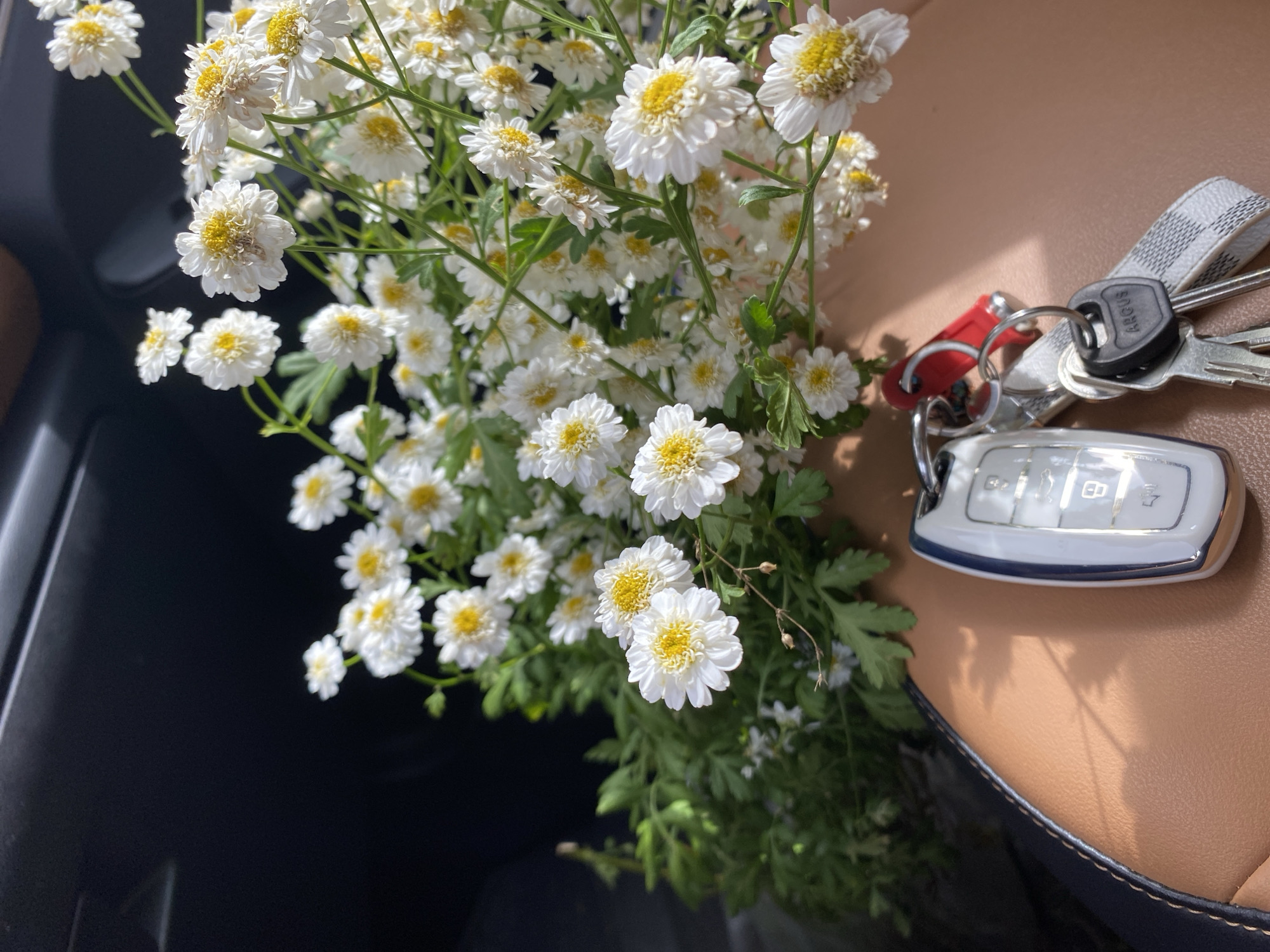 A close-up, eye-level shot captures a bouquet of small white daisies with yellow centers, artistically arranged with green foliage. These flowers are placed on a light brown, textured surface, possibly car upholstery. In the foreground, a set of keys is visible, attached to a checkered strap. The keys include a white car key fob with multiple buttons and two metal keys. A red keychain fob is also present. The background is dark and out of focus, suggesting an indoor or shadowed environment. The overall composition is soft and aesthetically pleasing, with natural light highlighting the textures and details of the subjects. There is no indication of the location being specifically within Chaikovsky, Russia.