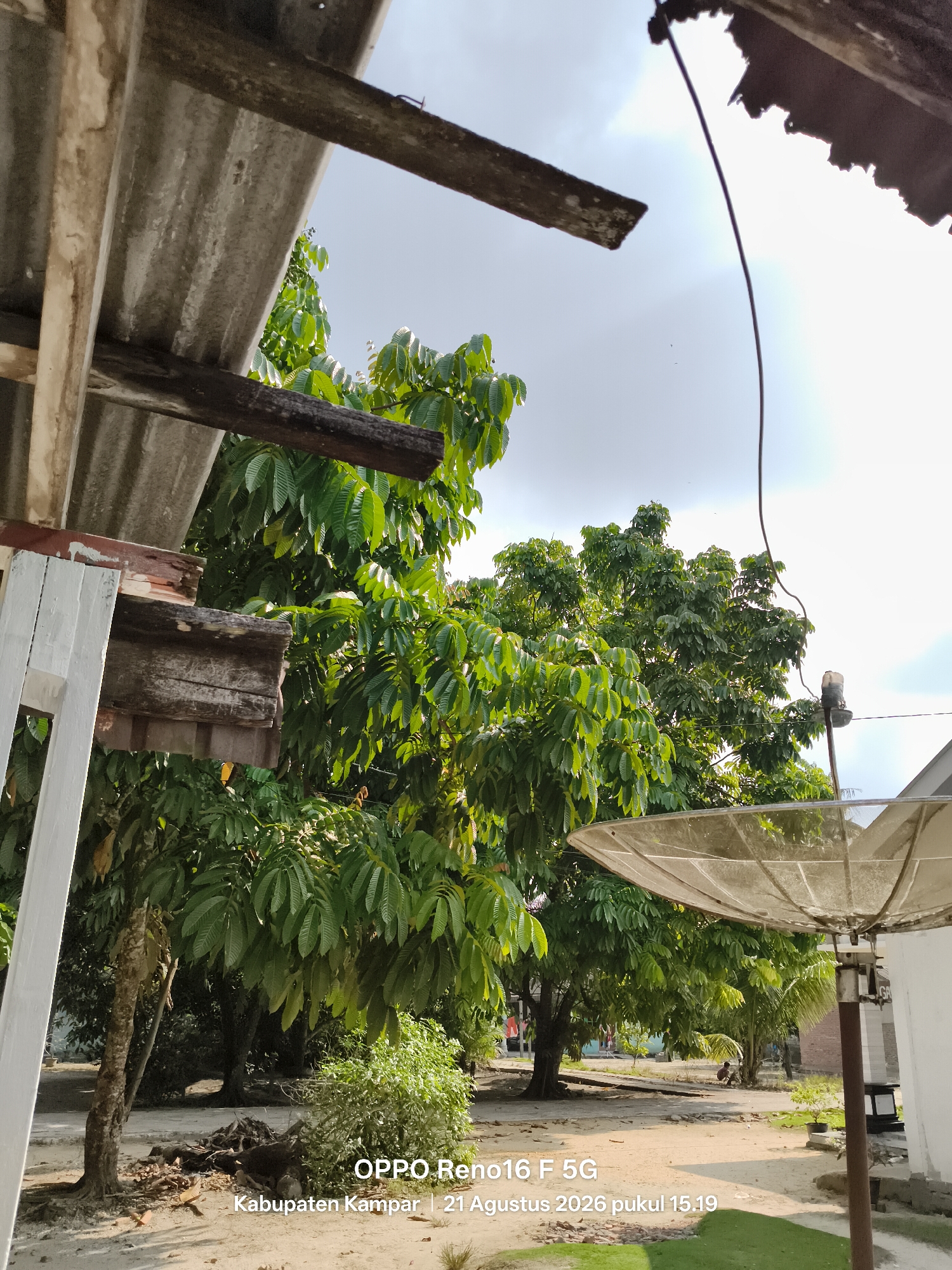This image captures an outdoor scene with a clear sky and lush green trees. In the foreground, a satellite dish is prominently visible, mounted on a pole. To the left, there is a partially visible structure with corrugated roofing and wooden beams. The ground appears to be sandy or dirt. In the background, more trees and vegetation can be seen, along with glimpses of buildings and possibly a dirt road. A timestamp in the bottom right corner indicates "OPPO Reno16 F 5G Kabupaten Kampar | 21 Agustus 2026 pukul 15.19," suggesting the location is Kampar Regency, Indonesia, and the date is August 21, 2026. There are no visible people actively engaged in any interactions within the frame. The overall impression is of a somewhat rural or suburban outdoor environment.