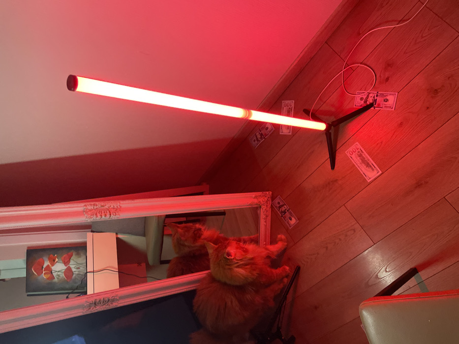 The scene depicts an interior room in Batumi, Georgia, illuminated predominantly by a red light source. A long-haired orange cat stands on a light-colored wooden floor, facing a large, ornate white-framed mirror. The cat's reflection is visible in the mirror. To the right of the mirror, a vertical tubular LED light fixture, emitting red light, is positioned on a black tripod base. A white power cord extends from the base of the light fixture. Several counterfeit US hundred-dollar bills are scattered on the wooden floor, primarily in the vicinity of the mirror and the red light. Visible in the mirror's reflection are a white desk or vanity, a painting featuring red poppies, and a light-colored chair. A partial view of a light-colored chair or stool is present in the lower-left foreground. The walls appear light, likely white, tinted red by the ambient lighting. No human individuals are present.