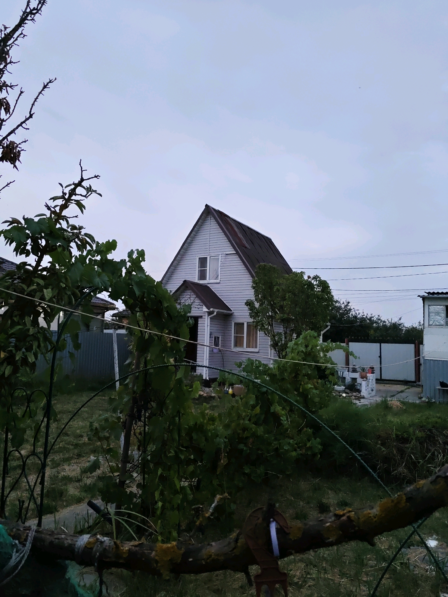 A two-story house with light-colored siding and a dark pitched roof is situated in a yard in Olginskaya, Russia. In front of the house, there are several trees and bushes. A metal fence with a decorative design is in the foreground, partially obscuring the view of the yard. Behind the house, there are utility lines and another smaller building with a metal roof. A white gate is visible further back. The sky is overcast and pale. The overall impression is that of a rural or suburban residential area.