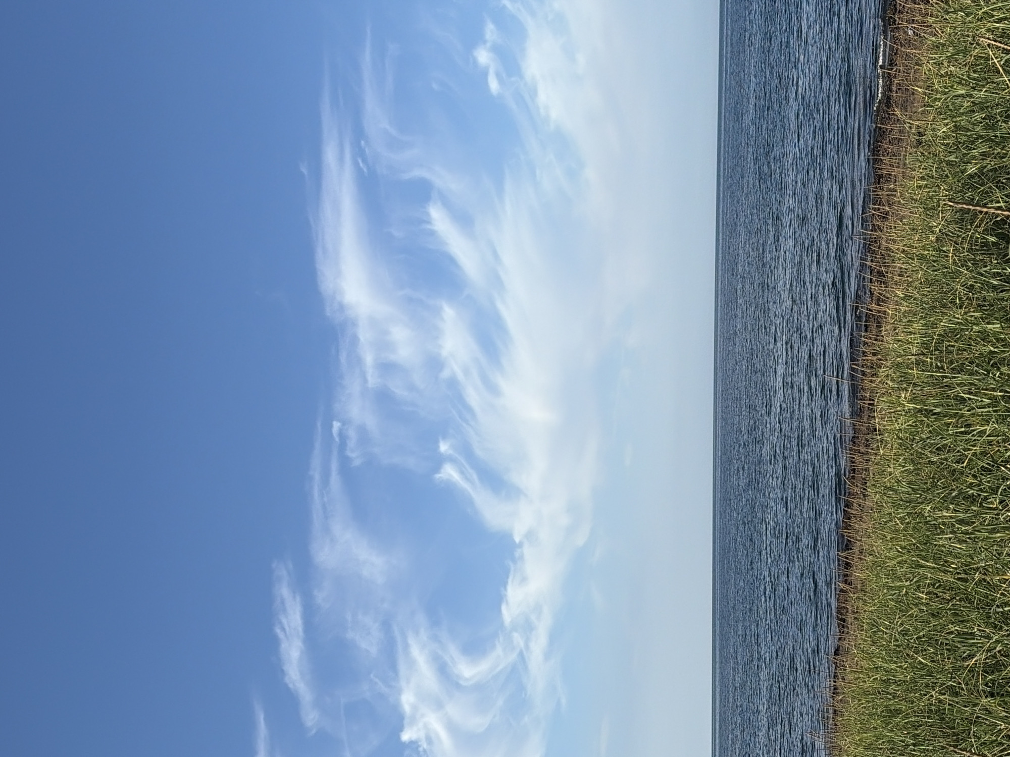 A vertical, full-shot photograph captures a serene seascape under a bright, partly cloudy sky. The scene is divided into three distinct horizontal bands: sky, water, and land. The uppermost section is a clear, vibrant blue sky, sparsely dotted with wispy, cirrus clouds that streak across the expanse in delicate, feather-like patterns. Below the sky, a vast body of deep blue water stretches to the horizon, its surface gently rippled by a light breeze. The transition from water to land is marked by a narrow strip of dark, wet shoreline, a mix of sand and small stones. In the foreground, tall, lush green grass grows densely, its blades reaching upwards, some leaning slightly towards the water. The overall impression is one of natural tranquility and open space. The image does not depict any people, animals, or man-made structures, nor does it offer any specific clues to its exact location beyond being an outdoor scene with a shoreline.