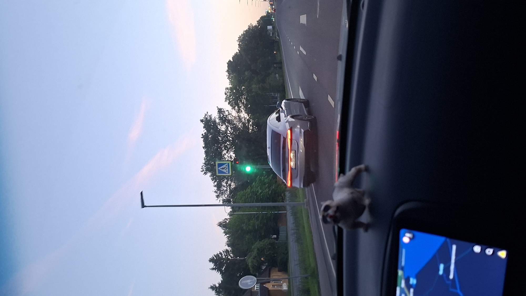 A light-colored Audi sedan drives on a two-lane road in Tallinn, Estonia, as dusk approaches. The car is captured from behind, in motion. A traffic light above the road is green, and a pedestrian crossing sign is visible nearby. The sky is a soft blue with streaks of pink clouds. Trees line the side of the road, and a few houses are visible in the distance. The image is taken from inside another vehicle, with a dashboard and a small dog figurine in the foreground. The dashboard also shows a GPS navigation screen. The overall scene suggests a journey through the city during the twilight hours.