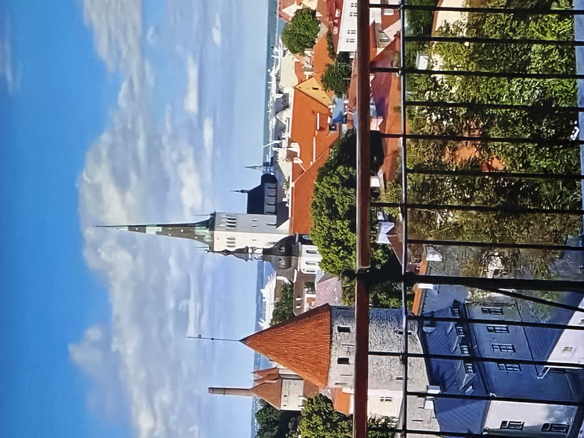 This media file captures a scenic view of Tallinn, Estonia, from a vantage point that overlooks a cityscape filled with historical architecture. The scene is dominated by a bright blue sky with scattered white clouds, suggesting pleasant weather and a daytime setting. In the foreground, a black metal railing partially obstructs the view, indicating the perspective is from a balcony or window.
The cityscape features a variety of buildings, predominantly with orange-tiled roofs and light-colored facades. Prominent among the structures are several church towers, one with a tall, pointed spire that stands out against the sky. The architecture suggests an old European city, consistent with the known location of Tallinn. Lush green trees are interspersed throughout the urban landscape, adding a natural element to the view.
In the distance, a body of water can be glimpsed, possibly the Baltic Sea, which is a significant geographical feature of Tallinn. The overall impression is one of a peaceful and picturesque urban environment, bathed in natural light. There is no visible text in the media file.