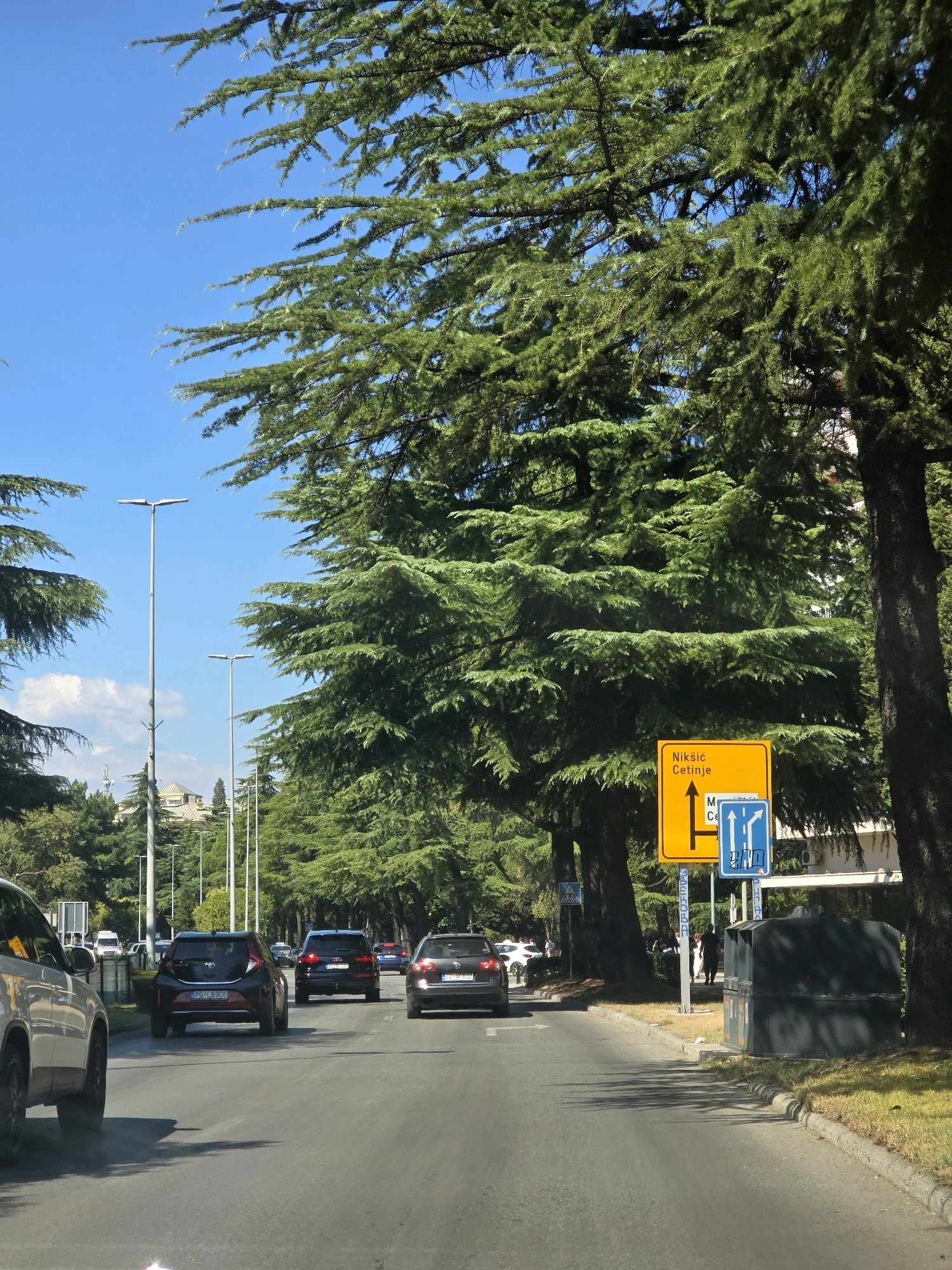The image shows a street scene in Podgorica, Montenegro, on a sunny day. Several cars are driving on a paved road lined with large, mature trees that cast shadows on the asphalt. In the foreground, the rear of a light-colored SUV is visible on the left. Following behind are several other vehicles, including a dark hatchback with license plate "PG LB906", a black Audi SUV, and a dark sedan.
On the right side of the road, a yellow directional sign with black text indicates "Nikšić Cetinje" with an upward arrow and a left turn arrow, accompanied by a blue traffic sign showing a straight-ahead arrow and a right turn arrow. A dark, rectangular dumpster is situated near the curb. In the background, tall lampposts and other trees are visible, along with some buildings. The sky is clear and blue. A few pedestrians are walking on the sidewalk in the middle ground.