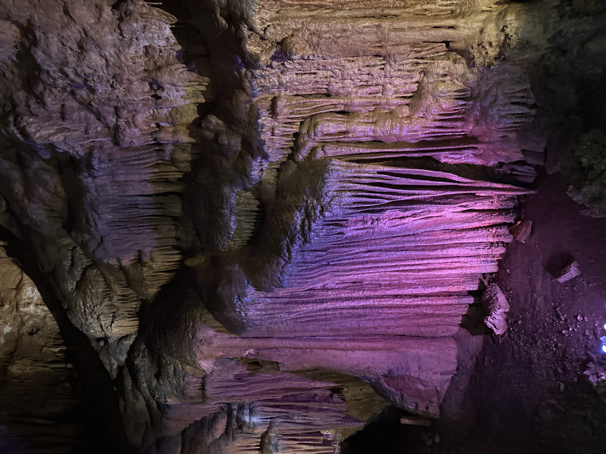 The image shows the interior of a cave in Belo Pole, Bulgaria. The cave walls and ceiling are composed of layered rock formations. The formations are illuminated with a purple light source. The cave appears to be a popular tourist attraction.