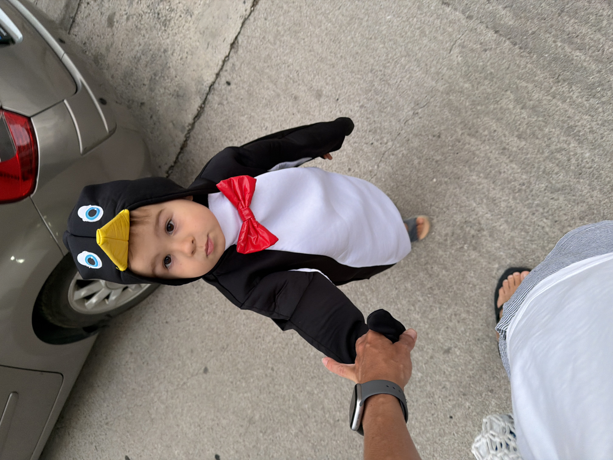 A child dressed in a penguin costume stands outdoors on a concrete surface. The child's costume is black and white, with a red bow tie and a hood featuring eyes and a yellow beak. The child is being held by an adult whose hand and arm are visible, wearing a gray smartwatch. Partially visible in the scene are a car and the lower portion of another person wearing white pants and black sandals. The location appears to be an urban area.