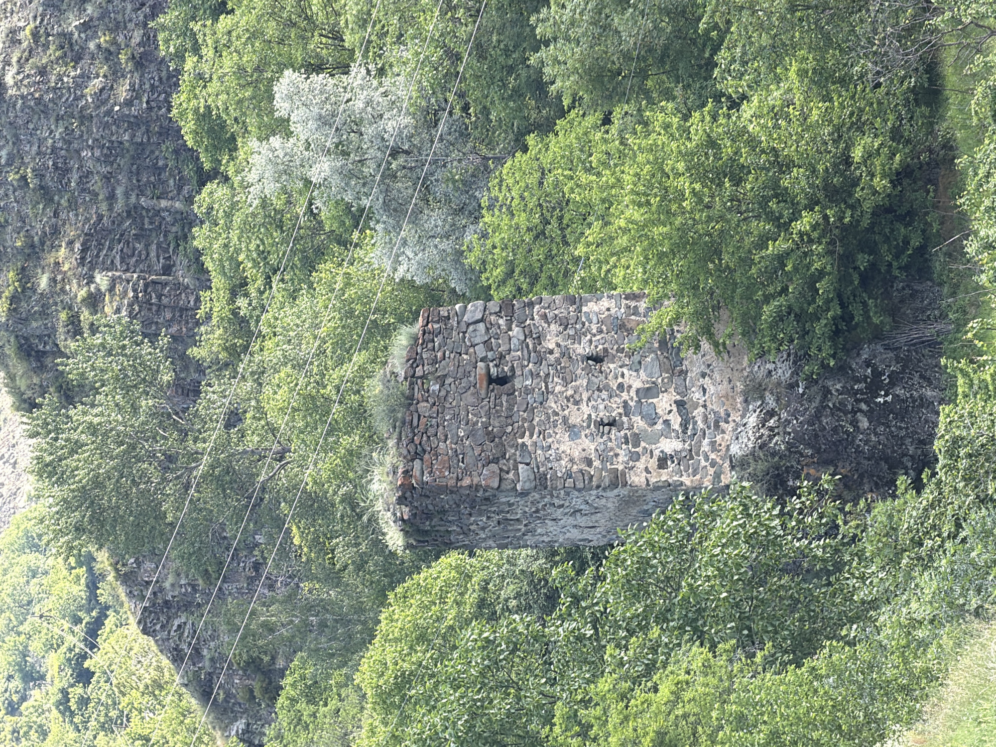 An ancient stone tower, partially overgrown with vegetation, stands amidst a dense forest on a hillside. The tower, constructed from rough-hewn stones of varying sizes and colors, features small, dark openings that appear to be windows or arrow slits. The top of the tower is capped with loose stones and dotted with green grass and weeds. The surrounding environment is characterized by lush green trees and foliage, with a rocky, steep hillside in the background. Several thin, parallel wires, likely power or telephone lines, stretch across the scene, suspended between unseen poles. The light suggests it is daytime, with sunlight filtering through the trees. This is likely a historical structure located in or near the vicinity of Ateni, Georgia, a region known for its ancient churches and fortifications.