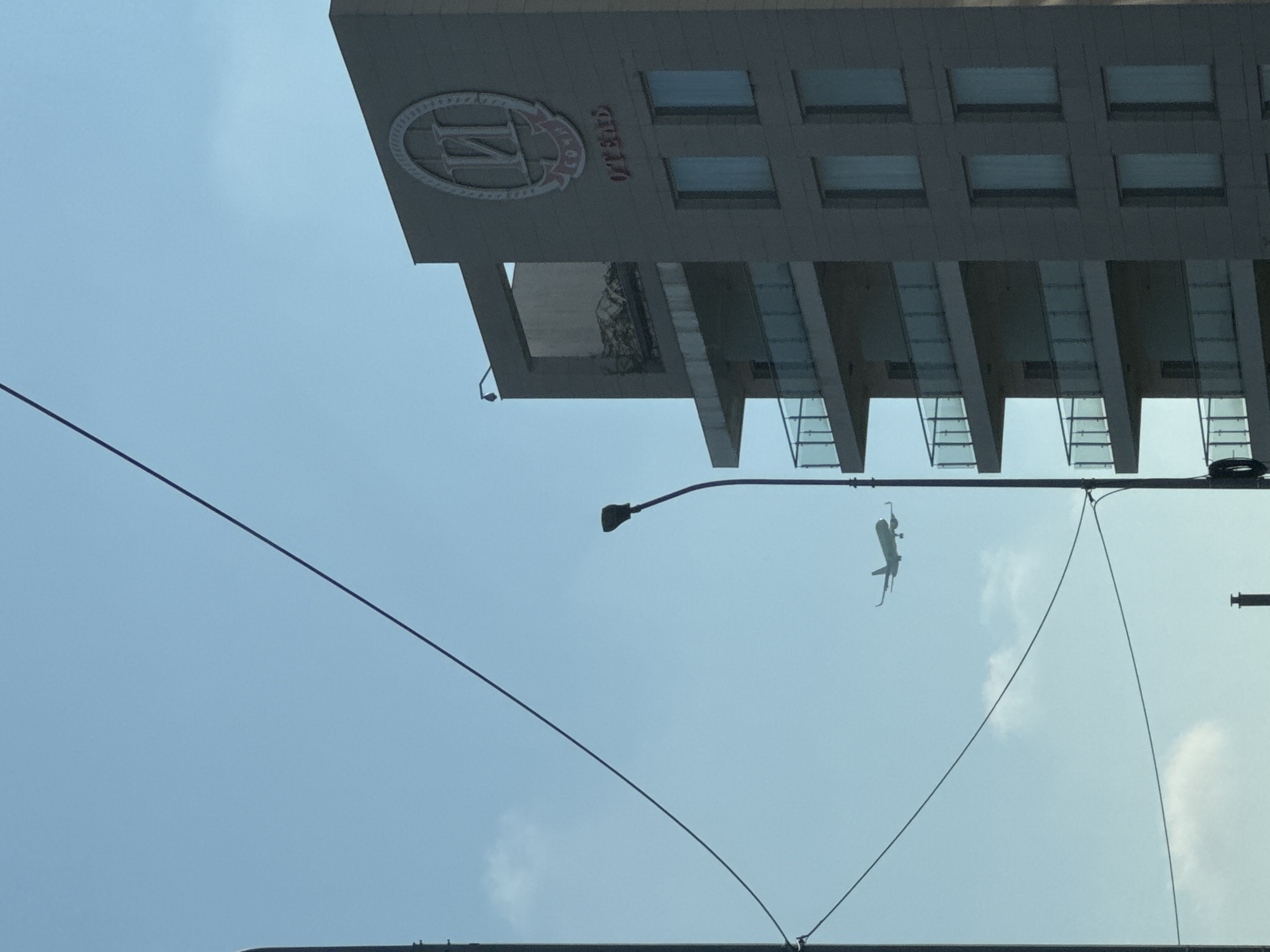 The image, correctly oriented, depicts a bright daytime scene looking upwards at a building, an airplane, and overhead wires against a clear blue sky.
In the upper right, a multi-story, light-colored building dominates, featuring rows of rectangular windows across its facade. Below these windows, the building incorporates architectural elements resembling balconies or covered walkways, composed of horizontal beams and glass panels. A prominent circular logo adorns the building's facade, featuring a stylized letter, possibly 'N' or 'M', within a decorative border. To the right of this logo, the text "СИРИУС" (Sirius) is clearly visible, with "ОТЕЛЬ" (Hotel) below it, identifying the structure as the Sirius Hotel.
Across the mid-ground and foreground, several dark utility wires or cables crisscross the sky, alongside the arm of a black lamppost. High above, in the middle left portion of the frame, a white airplane is distinctly visible in mid-flight. The sky is predominantly clear and bright blue, with only a few faint, wispy white clouds scattered across it. The scene conveys a clear, sunny day in an urban environment in Sirius, Russia.