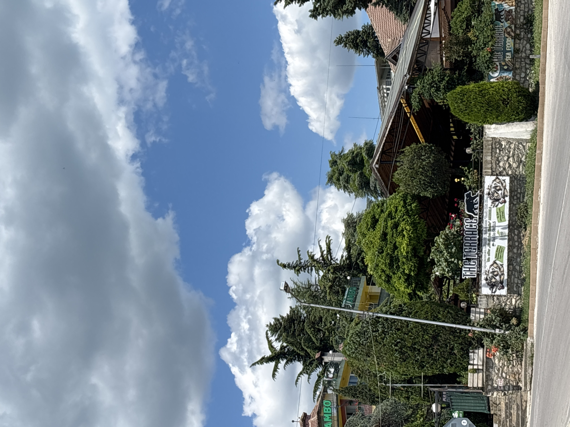 This media file captures a street view in Varna, Bulgaria, under a partly cloudy blue sky. The scene is dominated by lush green trees and vegetation, with a building partially visible on the right side of the frame. The building appears to be a restaurant or cafe, with signage that reads "THE TERRACE" and "SEA FOOD." Below this, another sign displays "BIO SEAFOOD SEA FOOD," indicating the establishment's offerings.
In the foreground, a street lamp stands tall, illuminating the area. A paved road is visible on the far right, suggesting a public thoroughfare. The architecture of the building hints at a rustic or natural theme, with stone and wooden elements. The presence of a sign with stylized animal imagery, possibly a bear, adds to the character of the location. The time of day appears to be daytime, with the sun casting light and shadows, and the weather seems pleasant for outdoor activities. The overall impression is of a vibrant and inviting establishment situated in a verdant environment.
