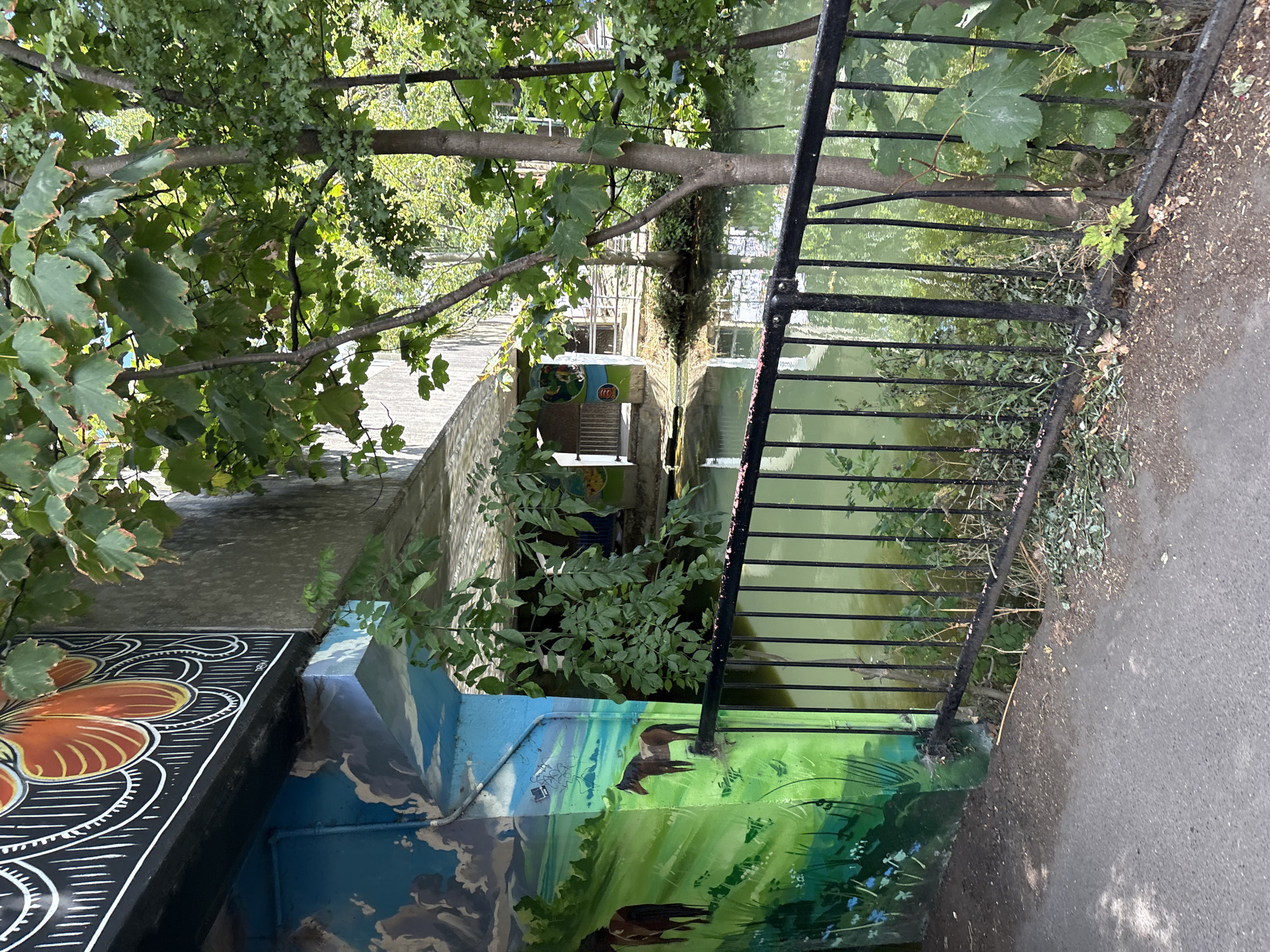 The image depicts a section of a riverbank in Chelmsford, United Kingdom, characterized by a bridge structure with painted murals. The left side of the image features a mural on a concrete support pillar, depicting a pastoral scene with green rolling hills and two horses in profile. Above this, a larger mural adorns the underside of the bridge, featuring an abstract design with orange and black elements.
A black metal fence runs along the riverbank, separating the paved walkway from the water. The river itself is a murky green color, with reflections of the surrounding trees visible on its surface. Lush green foliage, including trees and bushes, overhangs the river and the bridge. The overall impression is one of an urban waterway integrated with natural elements and artistic expression.