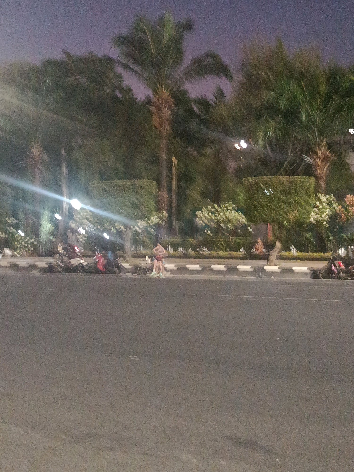 The image captures a dimly lit street scene at dusk or early night in Semarang, Indonesia. In the foreground, a paved road dominates the lower half of the frame, with visible lane markings and a slightly uneven texture. A curb separates the road from a landscaped median or sidewalk area. Beyond the curb, several motorcycles are parked, some appearing to be a red and white scooter and others darker colored.
A lone individual, appearing to be a person wearing shorts and a light-colored top, stands in the middle ground, facing away from the camera. They are positioned near a small table or stand. Behind the person and motorcycles, lush greenery is visible, including manicured hedges, trees, and flowering bushes. Several streetlights are present, casting bright white beams that create streaks and highlights across the scene, some illuminating the foliage and the paved areas. Palm trees with their characteristic fronds are interspersed with other trees and shrubs. The sky above is a muted, purplish-grey, indicating the low light conditions. The overall impression is of a public space in a tropical urban environment, possibly a park or a promenade area adjacent to a road, in Semarang, Indonesia.