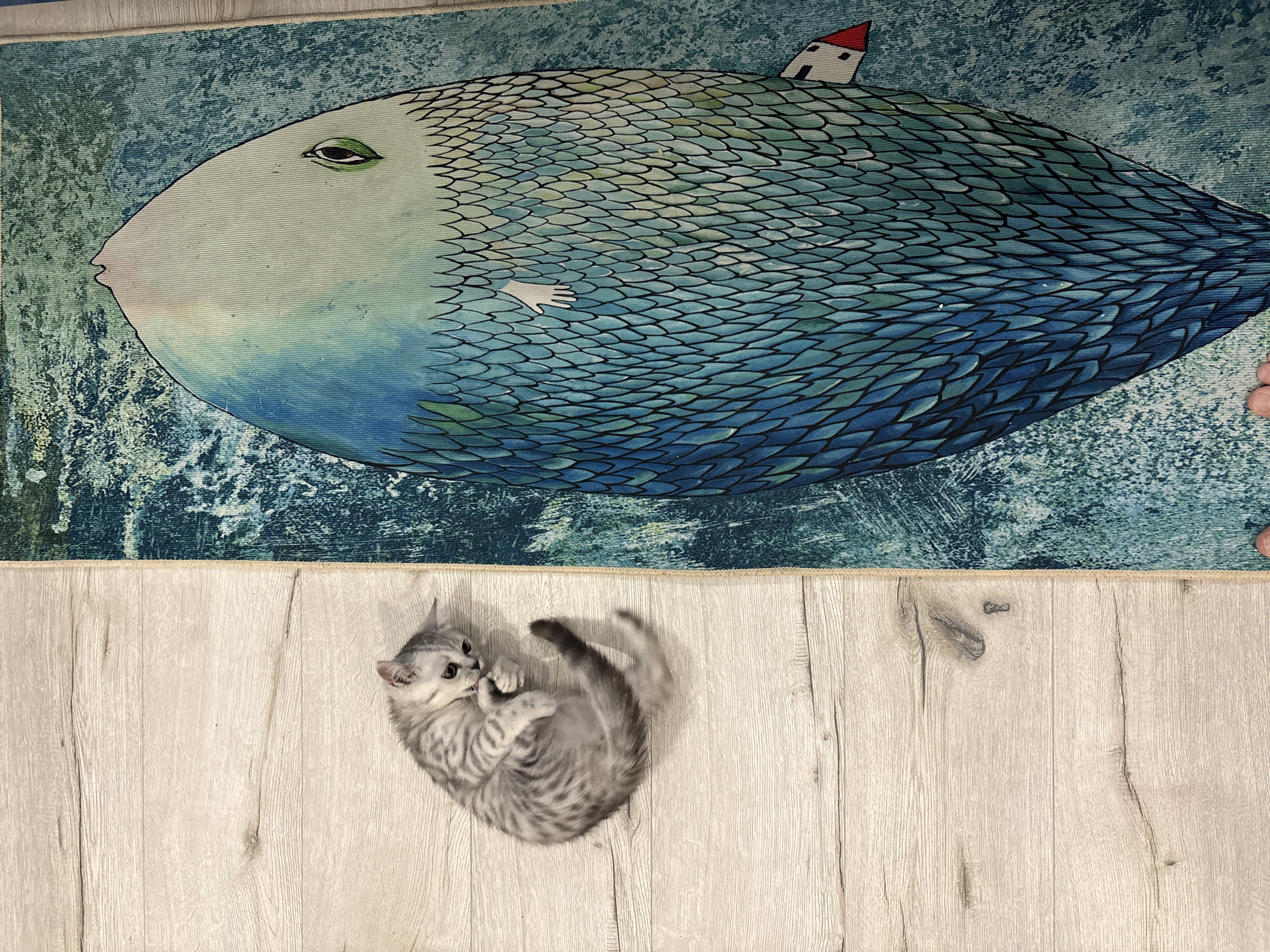 A medium-angle, eye-level indoor shot shows a grey tabby kitten tumbling on a wood-look floor adjacent to a rug depicting a large fish.
The kitten is small, with grey fur and dark grey stripes. It appears to be mid-tumble, with its legs and tail blurred from movement.
The rug is rectangular and extends horizontally across the top of the frame. The rug features a large fish illustration. The fish has a light grey face and a body covered in blue-green scales outlined in black. The fish's eye is visible, and a small white house with a red roof sits on its back. A small white hand is also visible, seemingly reaching out from the fish's scales. The background around the fish is a mottled blue-green pattern.
The wood-look floor is pale beige with subtle wood grain patterns.
There is no information indicating that the photo was taken in Izhevsk, Russia.