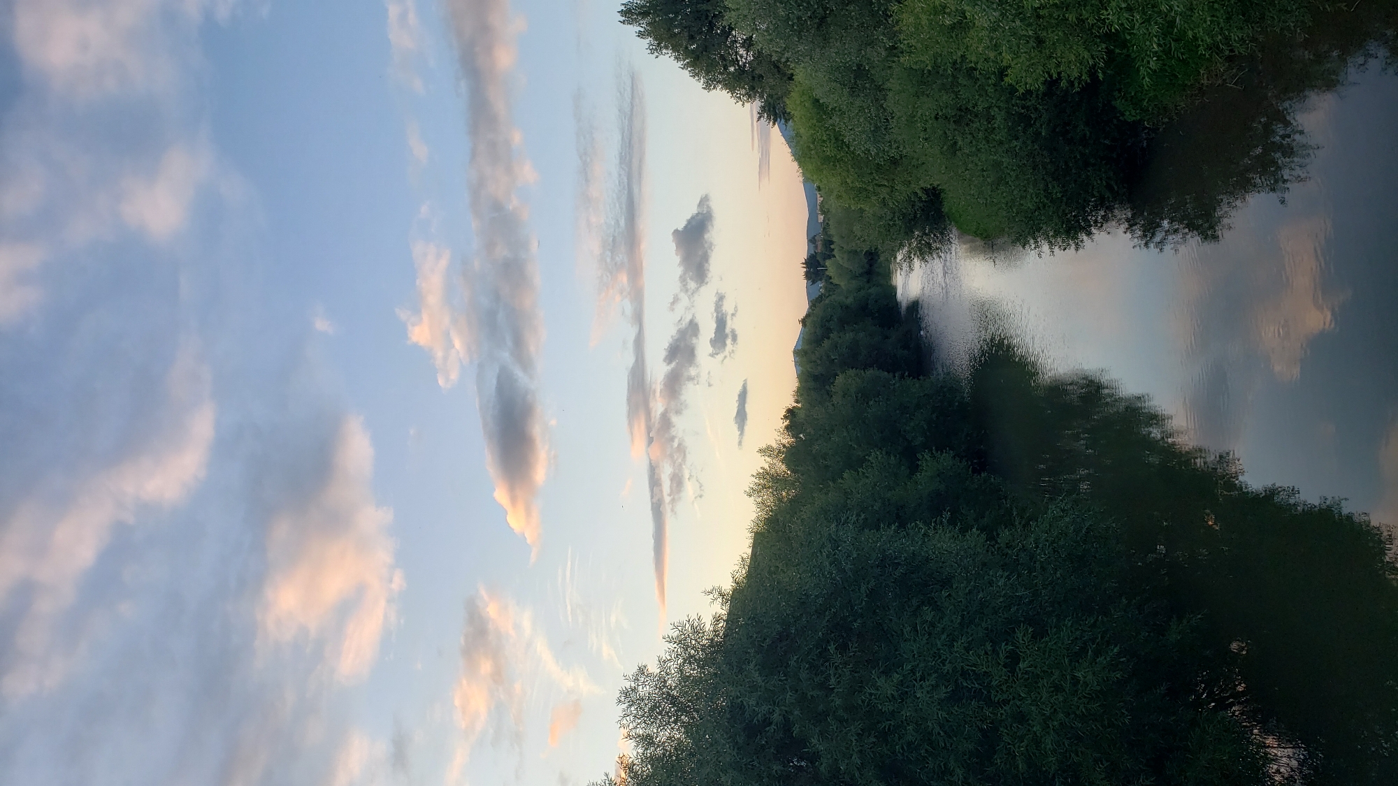 The image captures a tranquil river flowing through a densely vegetated area, likely on the outskirts of Prešov, Slovakia. The sky above is a soft blend of blue and pale orange, dotted with scattered clouds tinged with pink, indicating either sunrise or sunset. The river's surface reflects the muted colors of the sky and the lush green trees lining its banks. The trees themselves appear verdant and healthy, creating a natural corridor that guides the eye towards a distant, hazy landscape where faint silhouettes of buildings and hills are visible. The overall atmosphere is serene and natural, suggesting a peaceful natural environment within or near the urban landscape of Prešov.