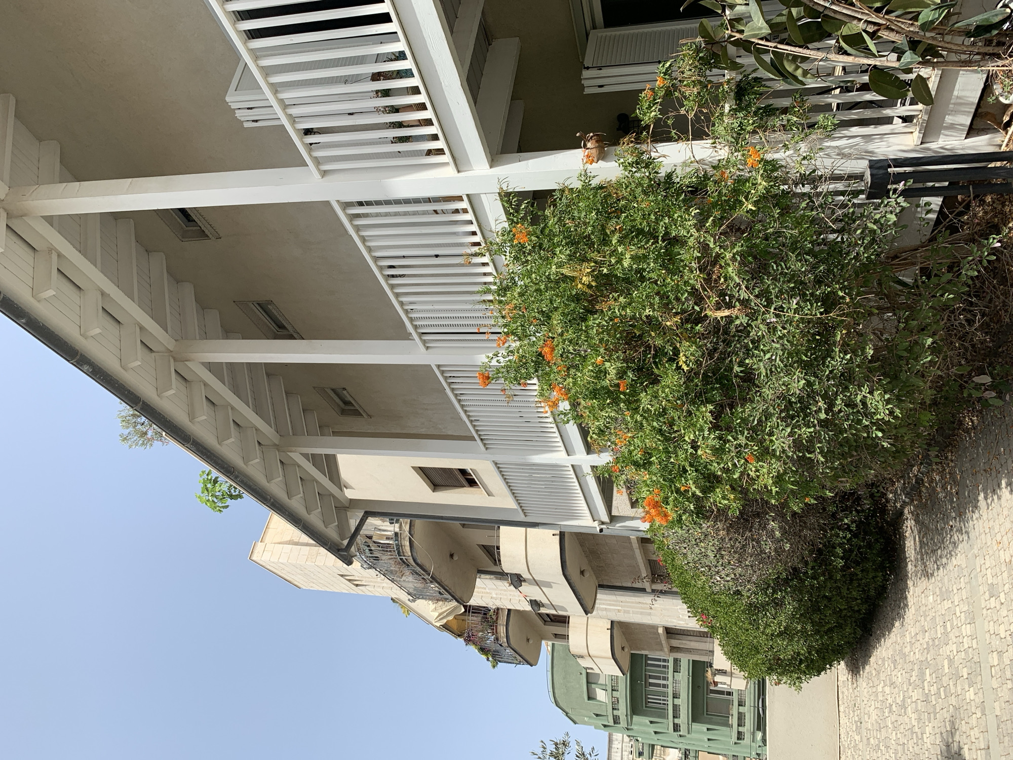 A sideways view of a street in Tel Aviv, Israel. The architecture is comprised of white-painted balconies with railing and green buildings. Some plants can be seen growing on the building and a bush is on the right in the front of the image. The street is paved with interlocking stones. The sky is a clear blue.