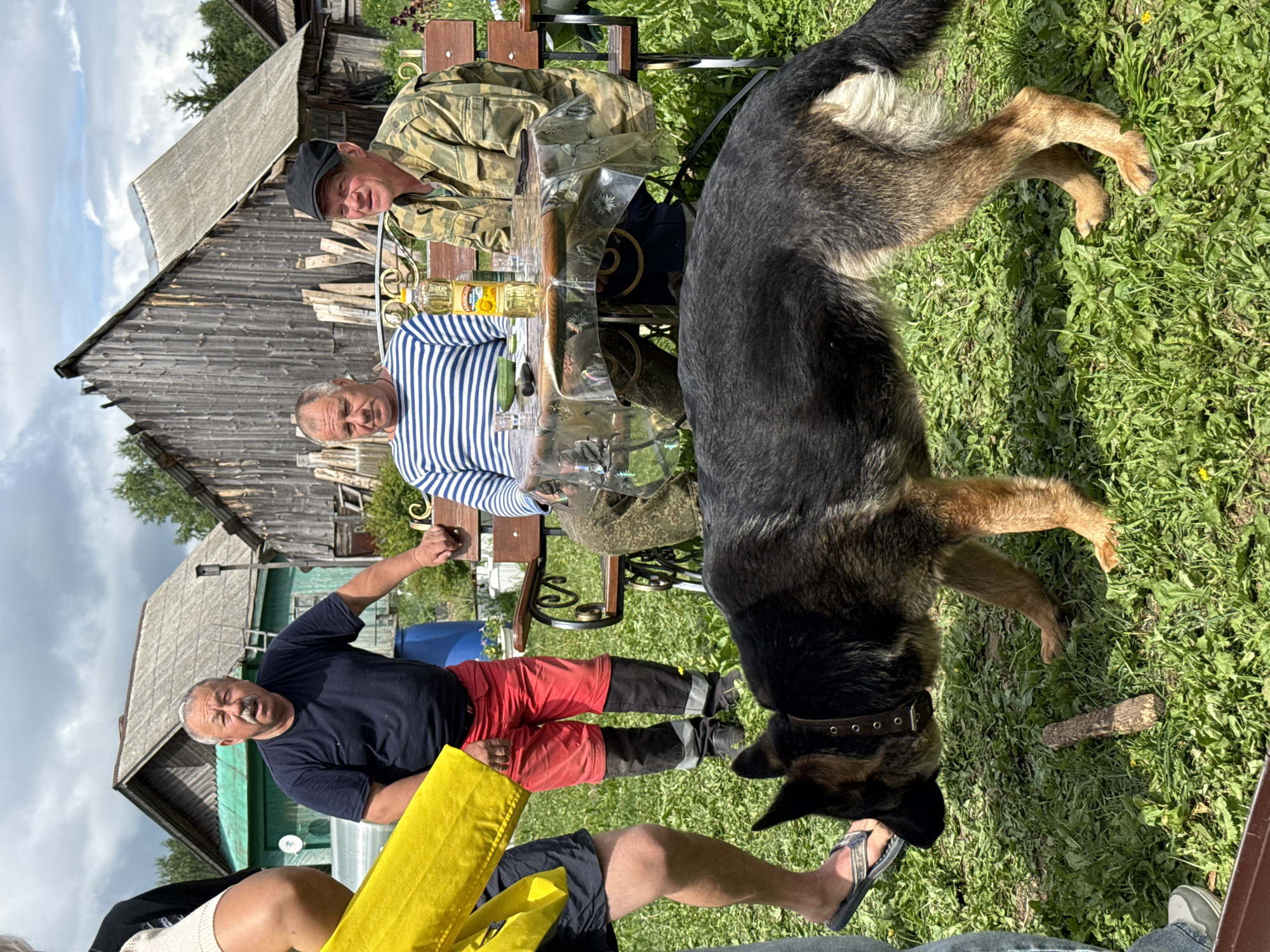 In Zhigalki, Russia, on a sunny day, a group of four men and a German Shepherd dog are gathered outdoors. Two men are seated at a table, one wearing a blue and white striped shirt, the other in a camouflage jacket and a black cap. On the table, there's a bottle of sunflower oil, glasses, and a knife. Two other men are standing near the table. One, wearing red trousers and black boots, appears to be conversing, while another man in a black t-shirt is leaning on a bench. A person in a yellow jacket is partially visible on the left. The German Shepherd is in the foreground, sniffing the ground. The background shows wooden houses and greenery under a cloudy sky.