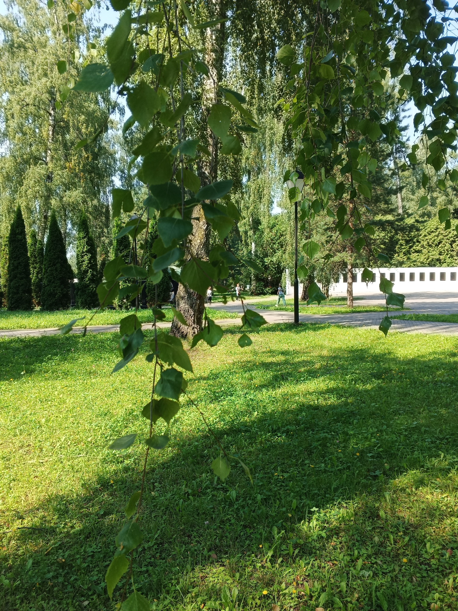 In the foreground, a branch with green leaves hangs down, partially obscuring the view. The background shows a well-maintained park with a lawn, a paved path, and several trees, including some tall, conical evergreen trees and a large deciduous tree. A white building with a row of dark openings is visible in the distance. A street lamp stands near the path. Two people are walking on the path in the middle ground. The scene is bathed in sunlight, casting shadows on the grass.