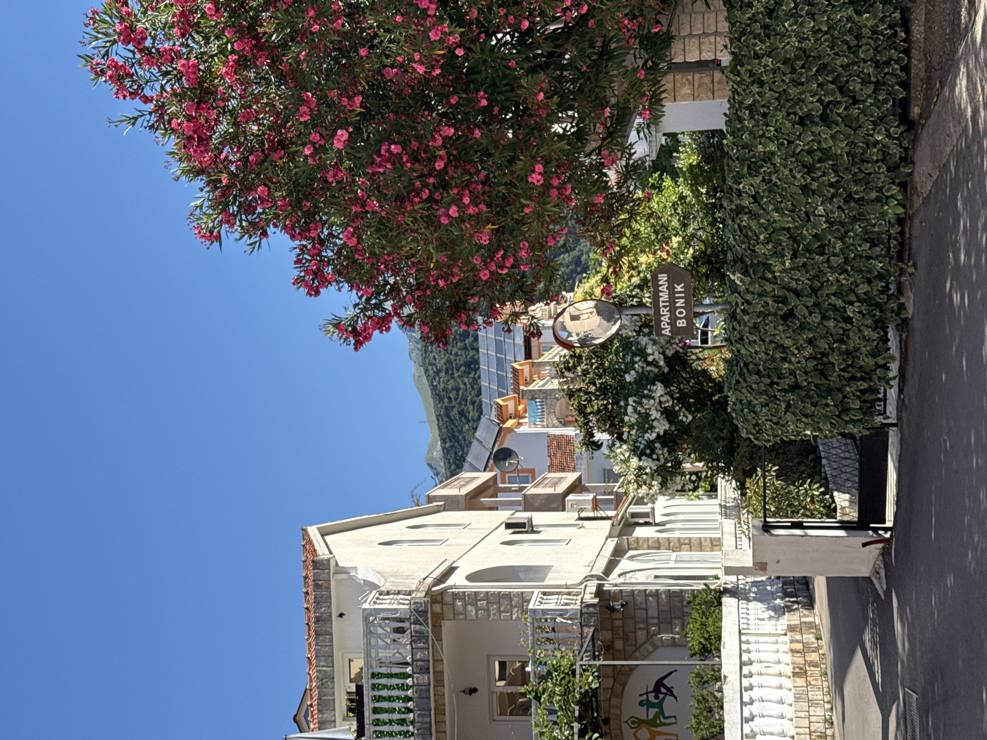 This is an eye-level outdoor shot of a street in Budva, Montenegro, on a clear, sunny day. The scene is dominated by a multi-story building with light-colored stucco and stone accents on the left, featuring arched windows and balconies with white railings. A vibrant tree with numerous pink flowers is on the right, its branches extending into the upper portion of the frame. A green hedge runs along the bottom of the image, partially obscuring a black metal gate and a short white pillar. A directional sign for "APARTMANI BONIK" is visible to the left of the pink-flowering tree, and a convex mirror is mounted on the signpost. Behind the buildings, lush green mountains are visible under a bright blue sky. The street itself is paved, with shadows from the trees falling across it. A white balustrade with stone posts lines the left side of the street, with a colorful mural of figures engaged in yoga or dance visible on the building behind it.